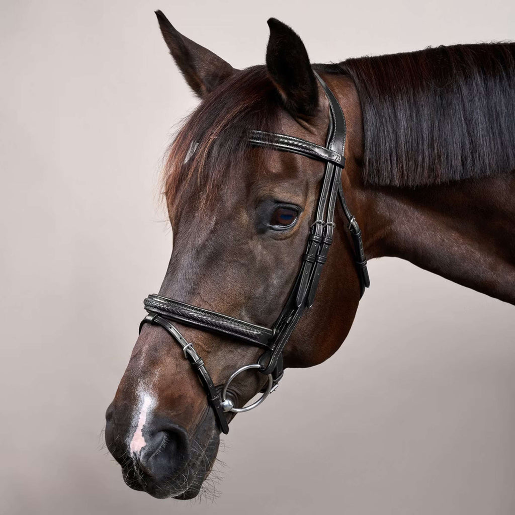 Dyon Bridle Flash Braided Black