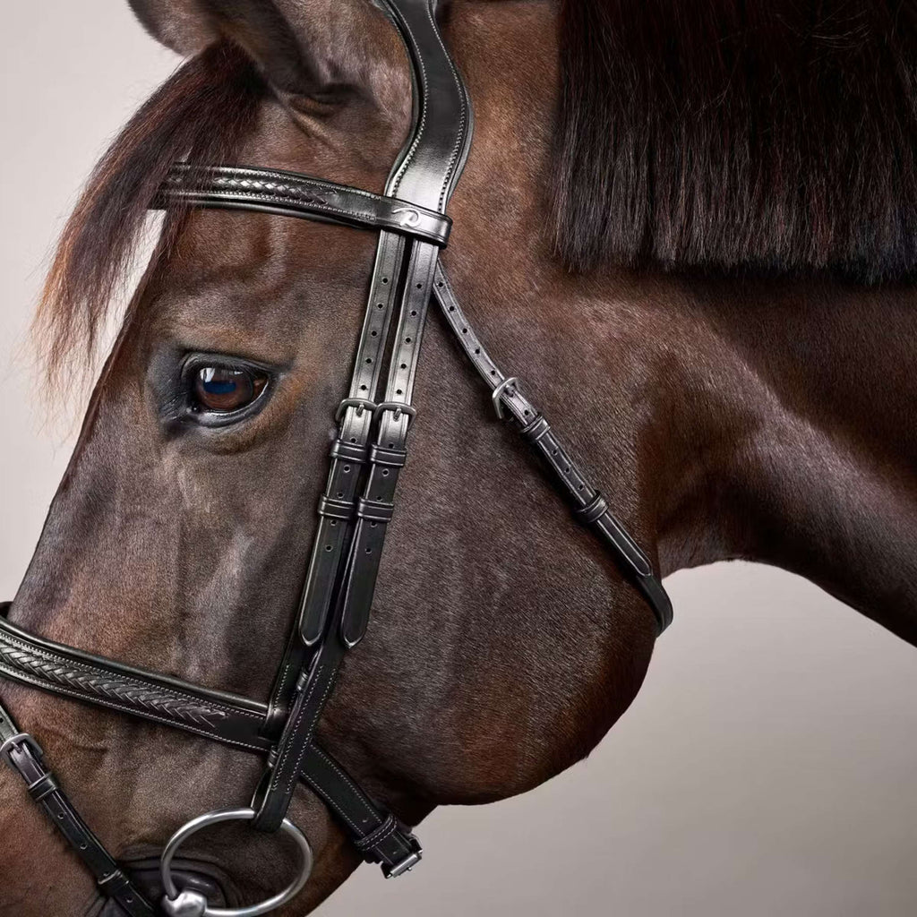 Dyon Bridle Flash Braided Black