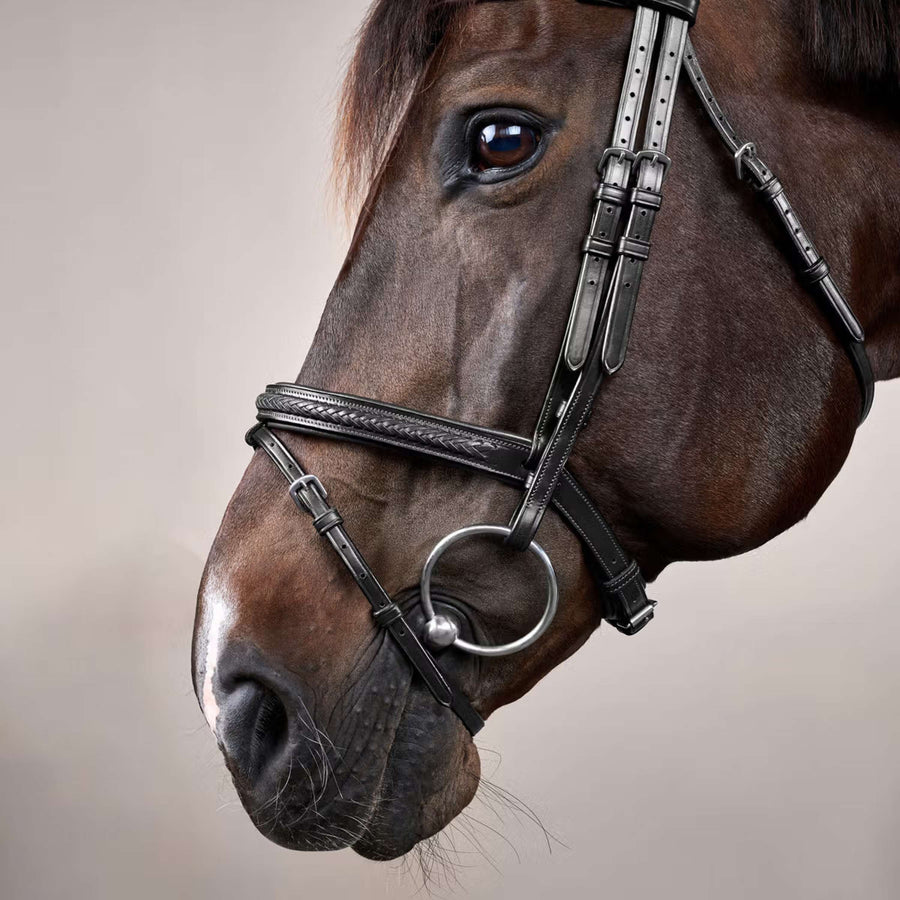 Dyon Bridle Flash Braided Black