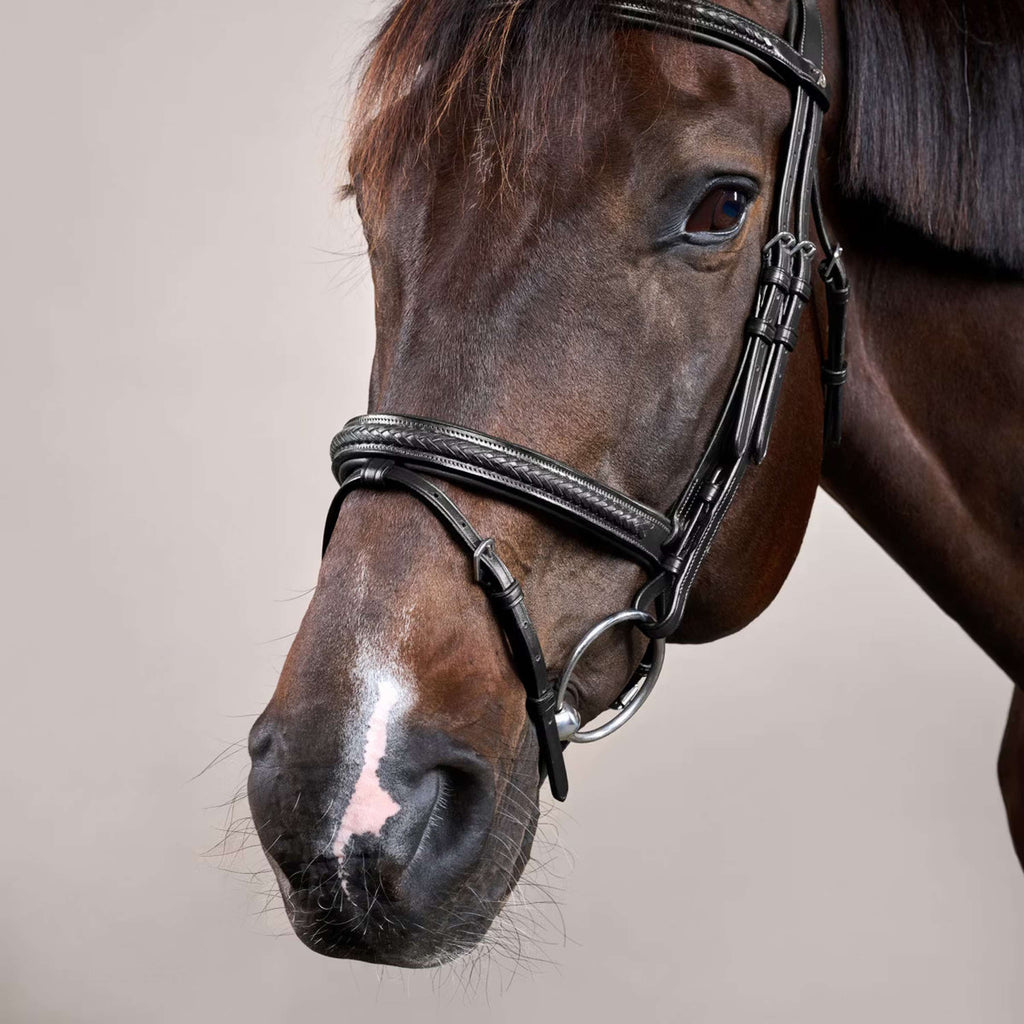 Dyon Bridle Flash Braided Black