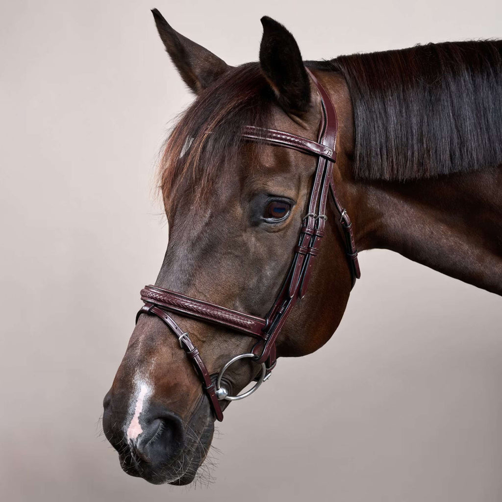 Dyon Bridle Flash Braided Brown