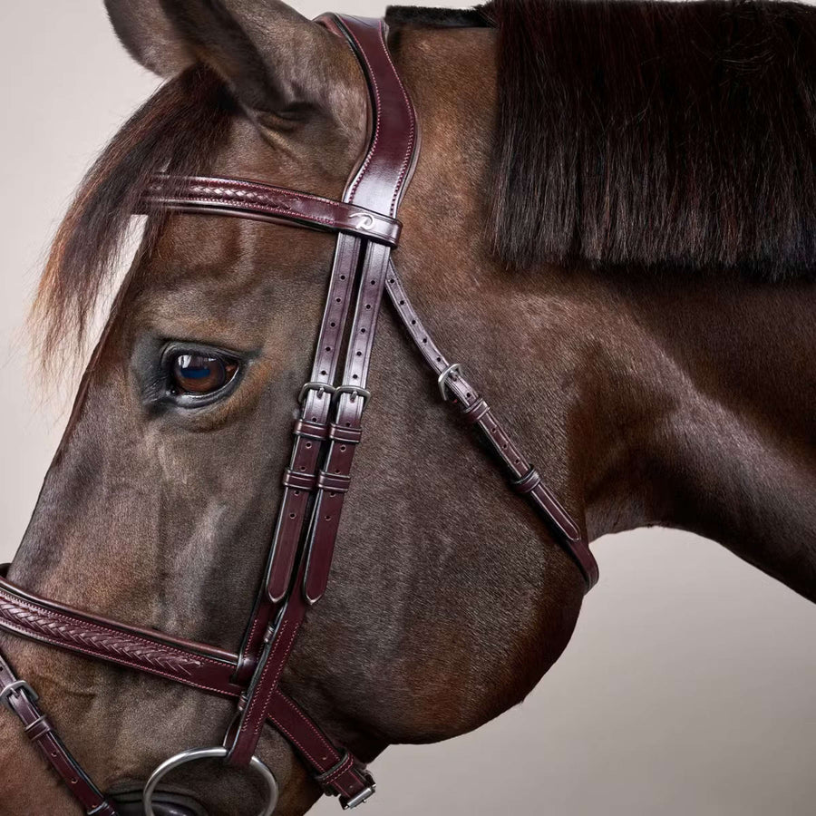 Dyon Bridle Flash Braided Brown