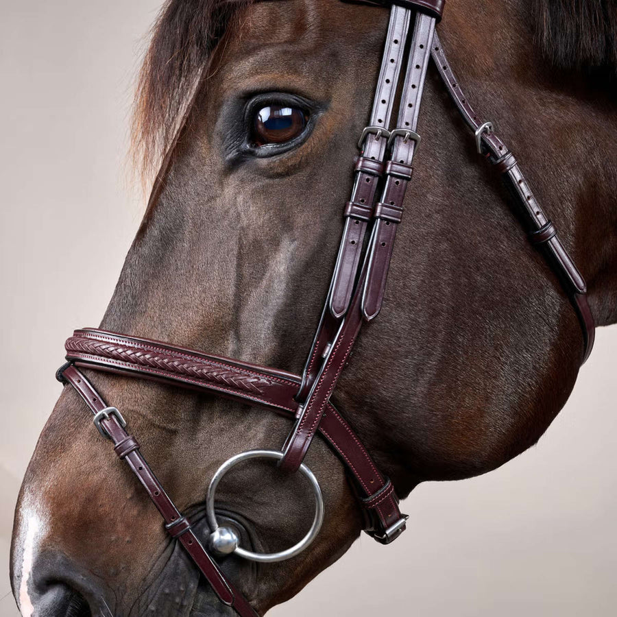 Dyon Bridle Flash Braided Brown