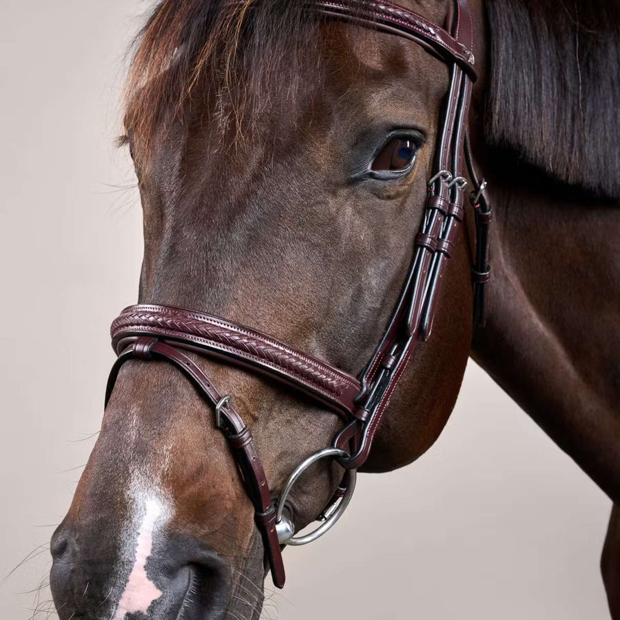 Dyon Bridle Flash Braided Brown