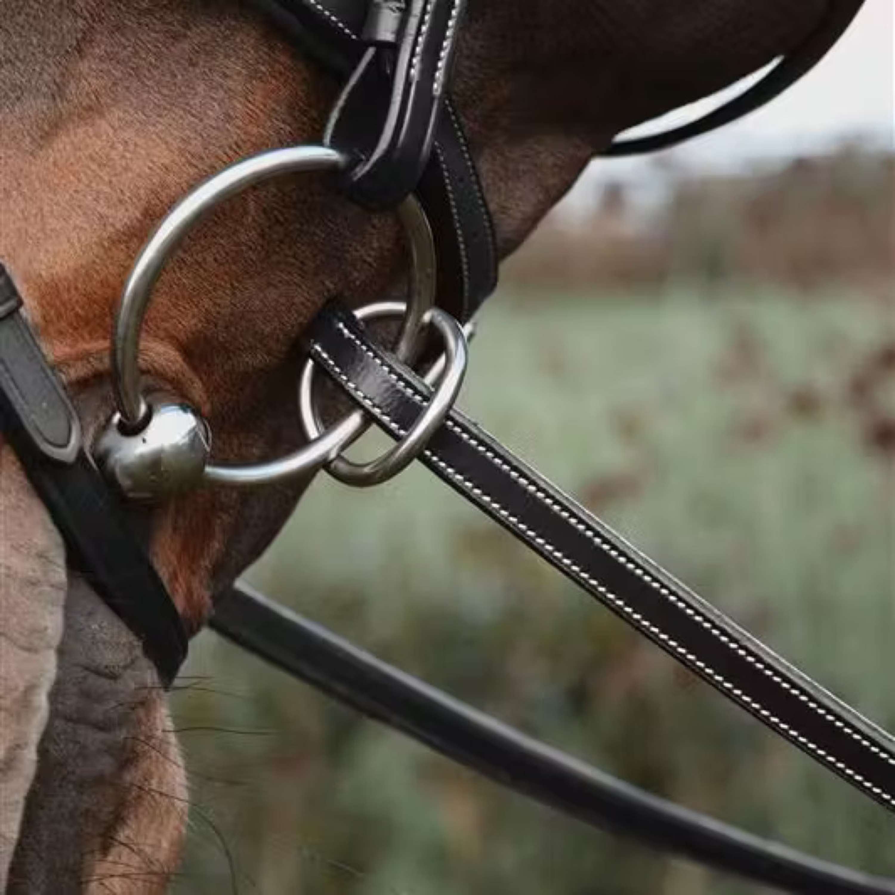 Dyon Reins 1/2 7 Stops Ring closure Black