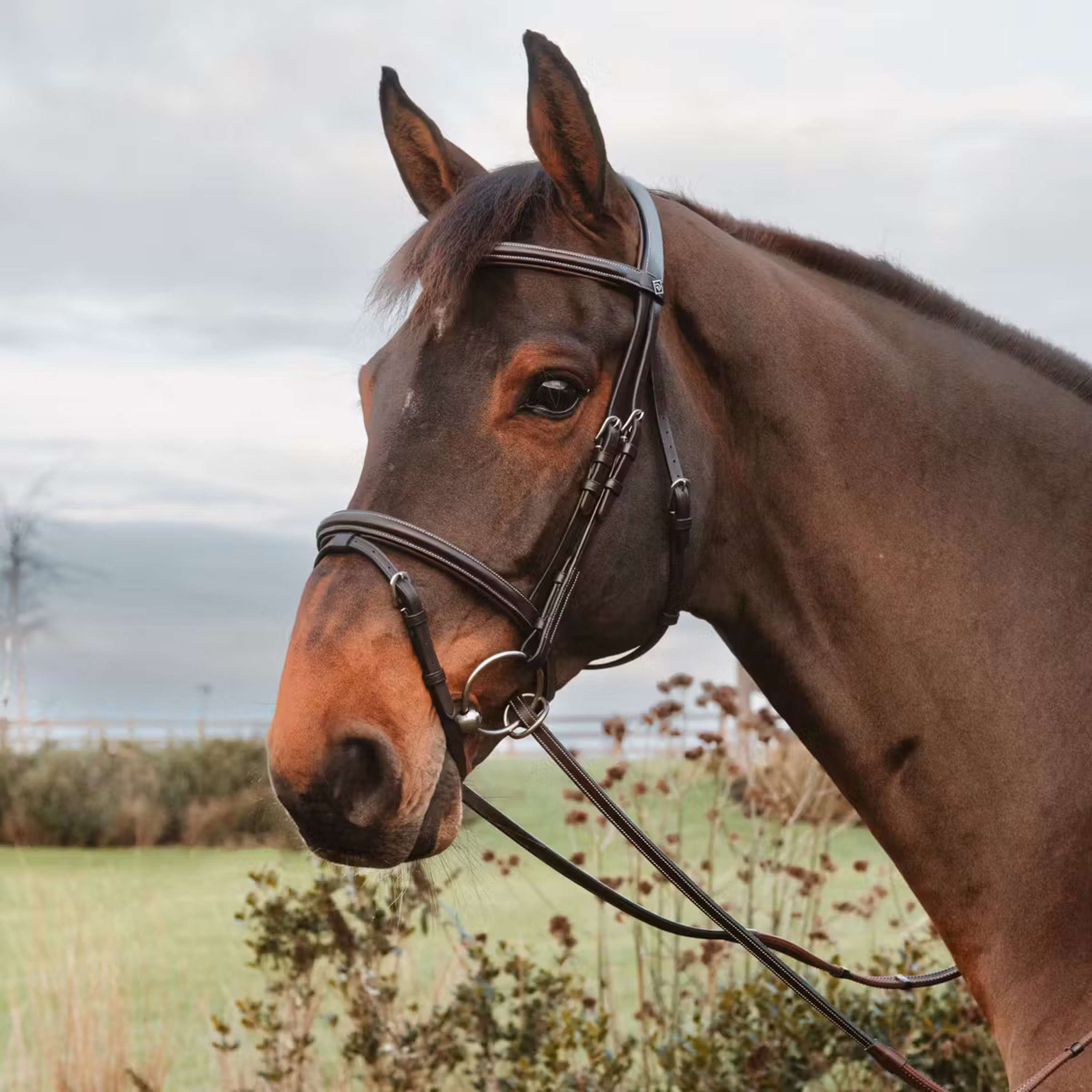 Dyon Reins 1/2 7 Stops Ring closure Brown