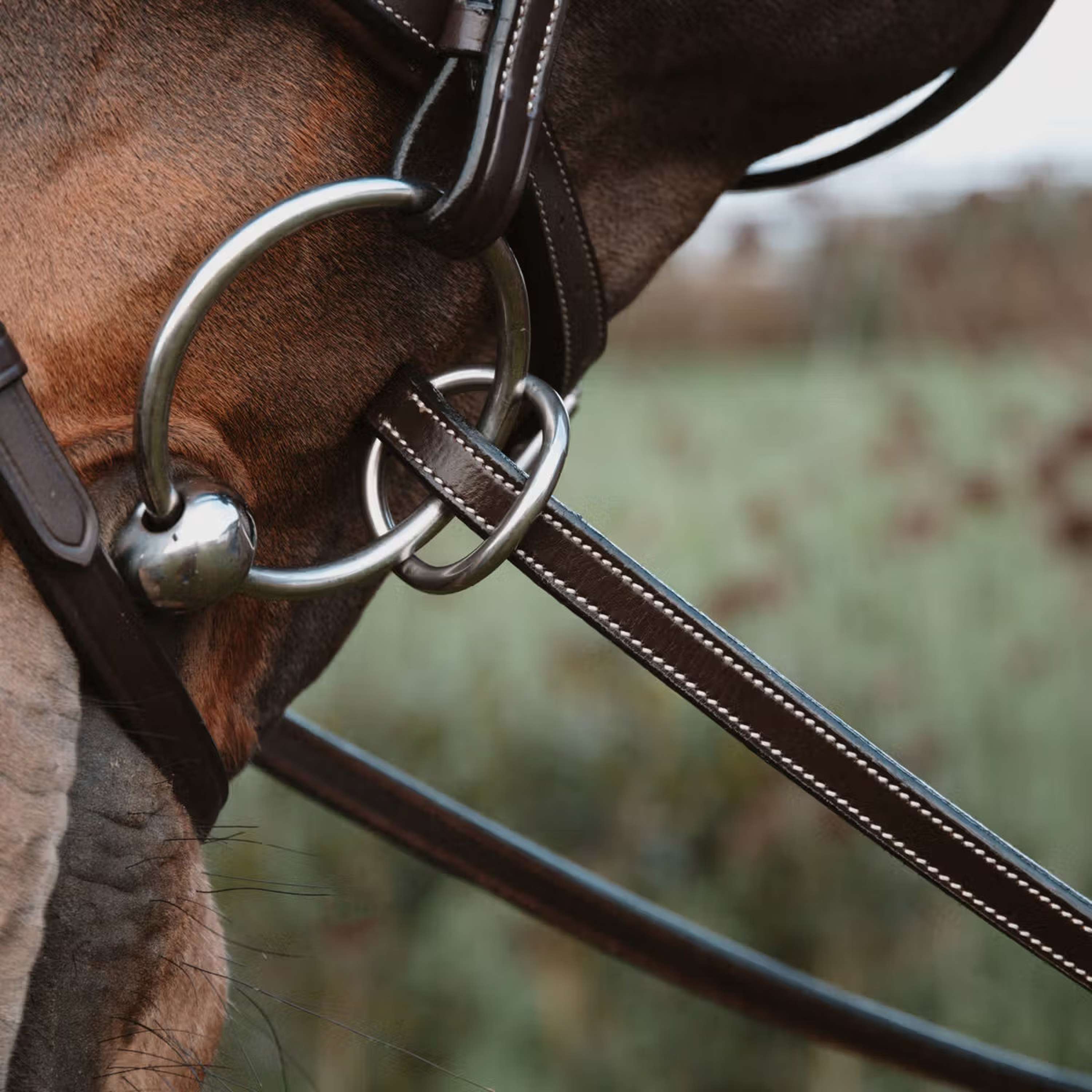 Dyon Reins 1/2 7 Stops Ring closure Brown