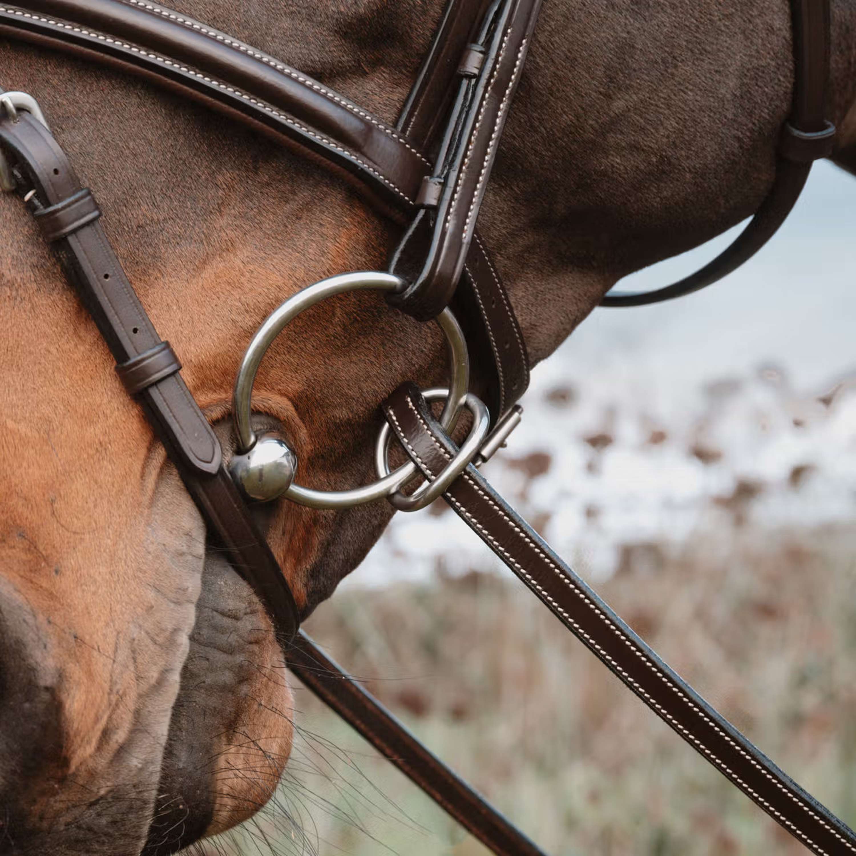 Dyon Reins 1/2 7 Stops Ring closure Brown