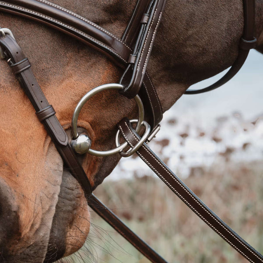 Dyon Reins 1/2 7 Stops Ring closure Brown