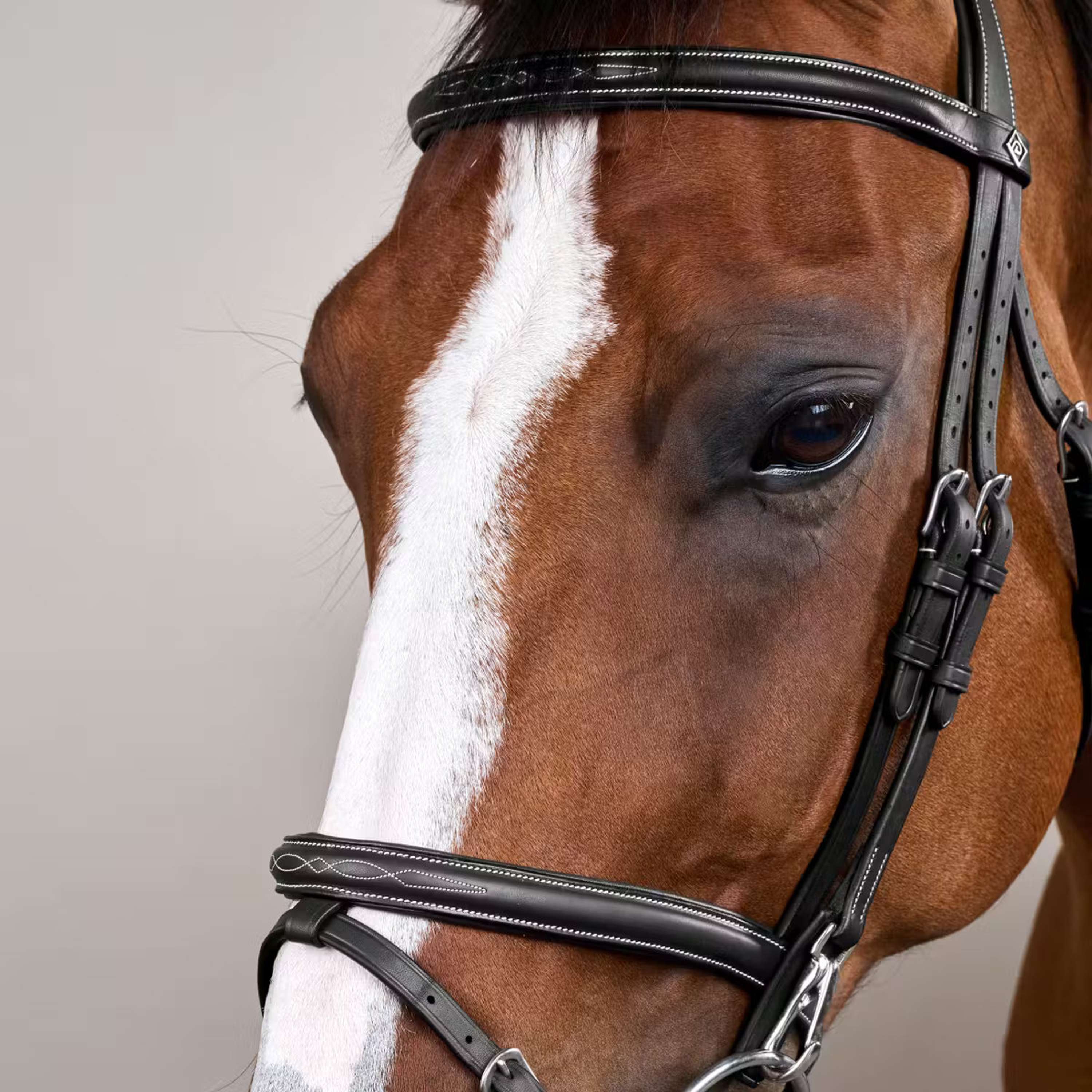 Dyon Bridle Flash with Clips Black