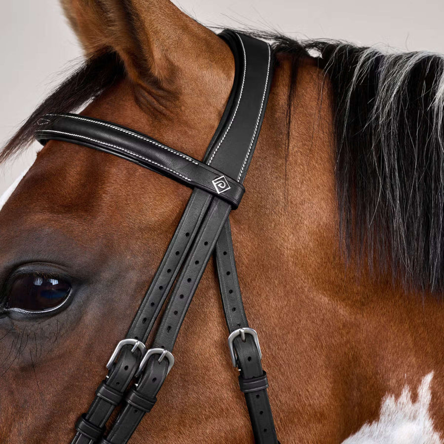 Dyon Bridle Flash with Clips Black
