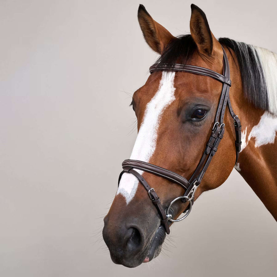 Dyon Bridle Flash with Clips Brown