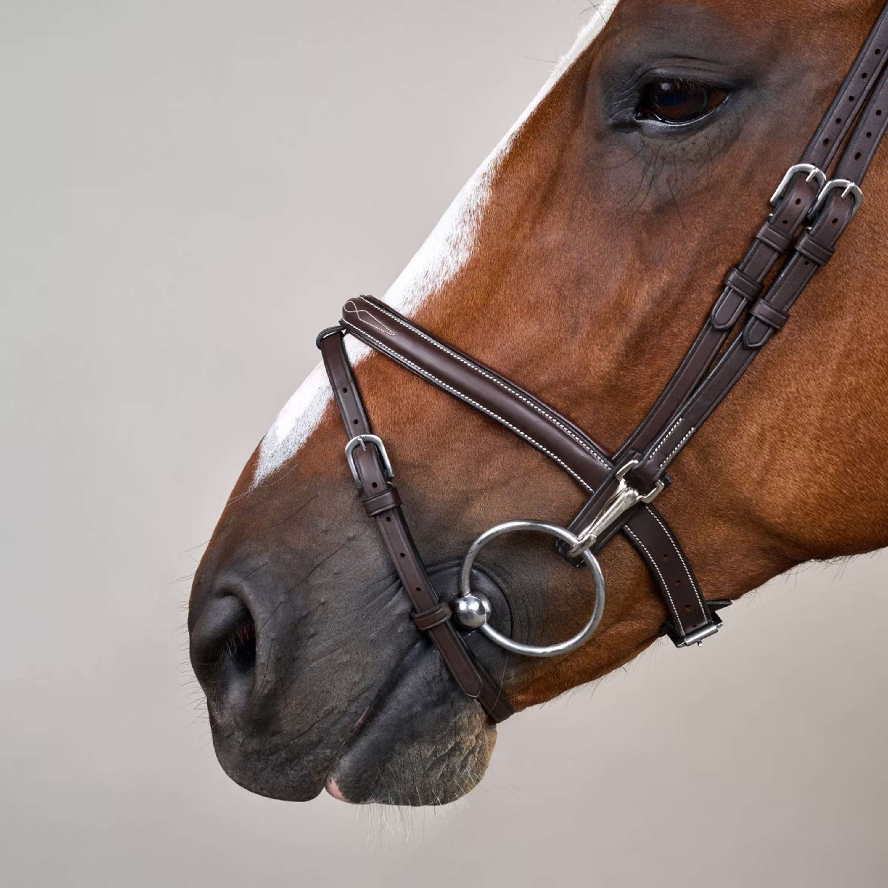 Dyon Bridle Flash with Clips Brown