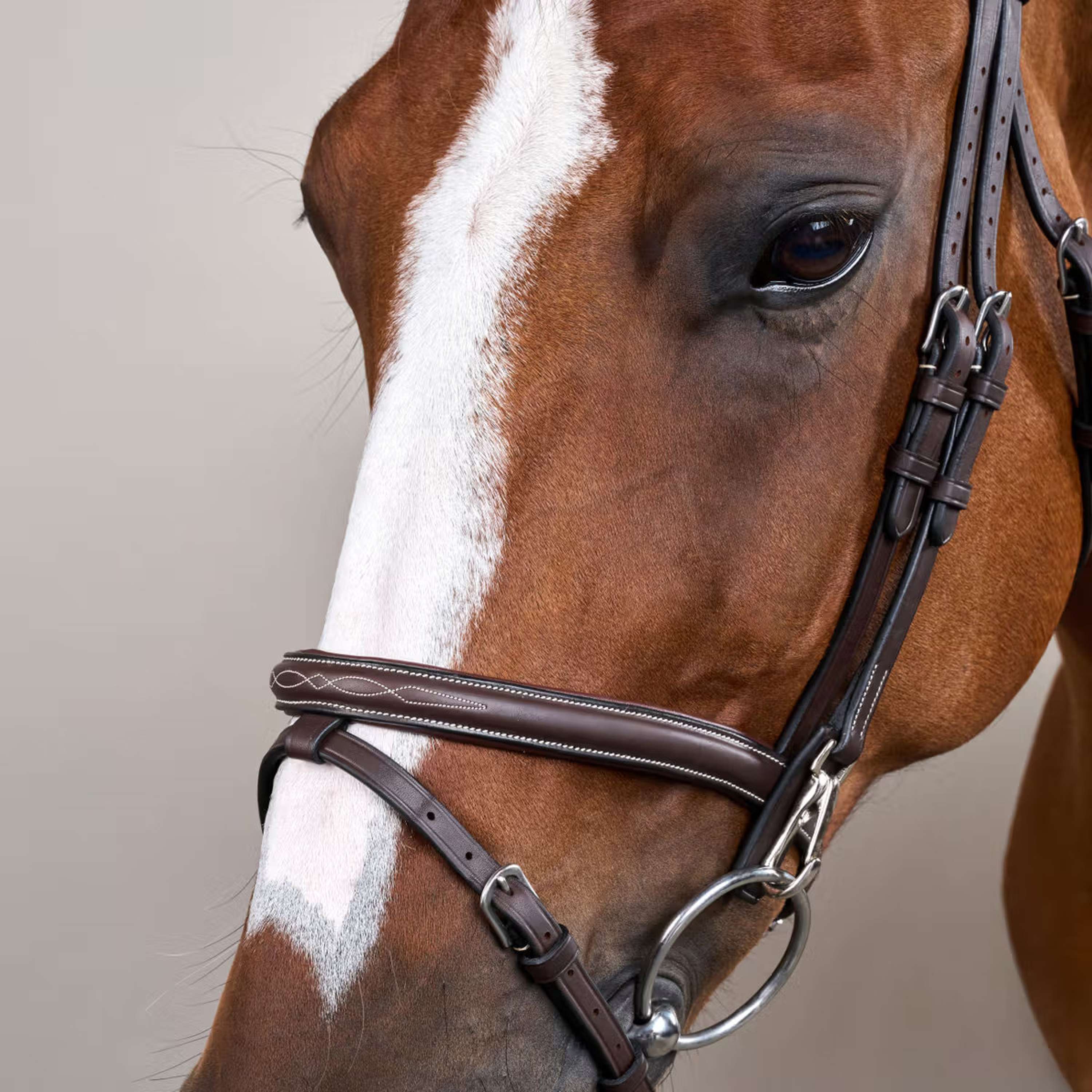 Dyon Bridle Flash with Clips Brown