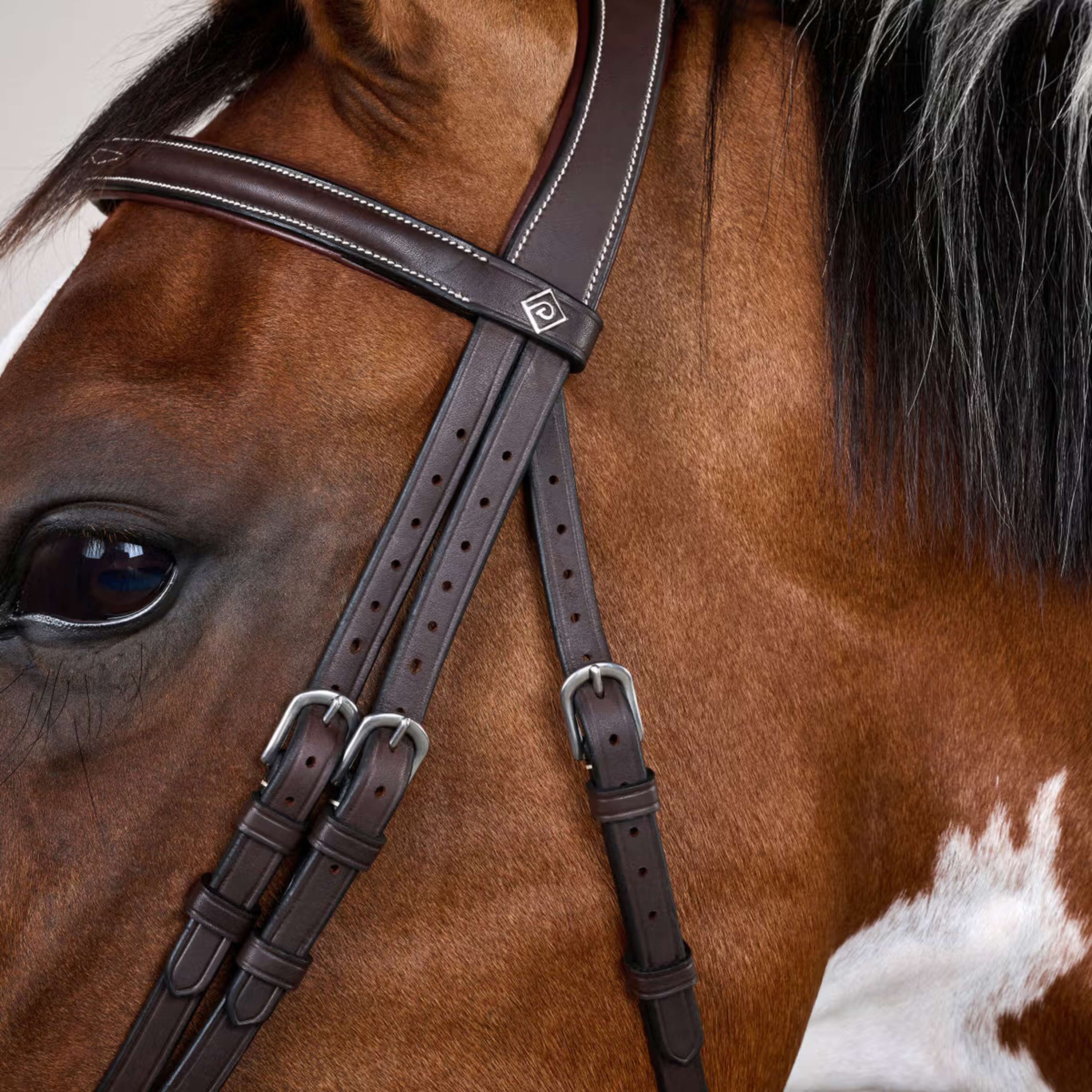 Dyon Bridle Flash with Clips Brown