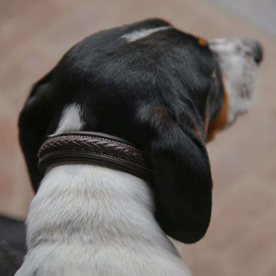 Dyon Collar Braided Brown