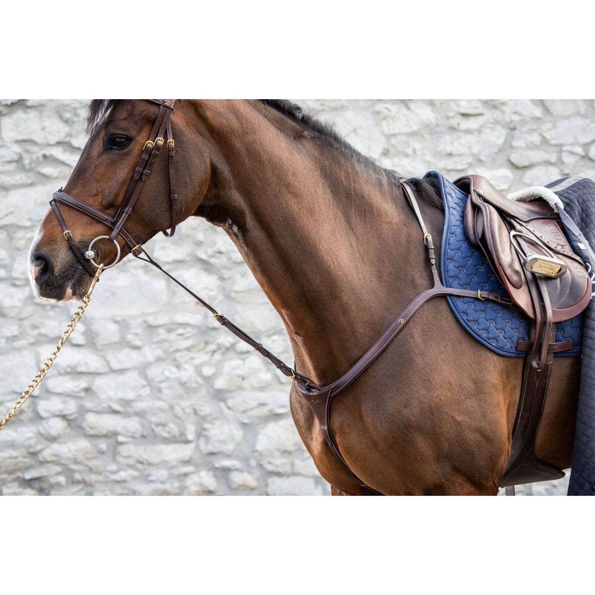 Dyon Chest Harness Martingale Standing Brown