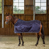 Dyon Fly Rug Navy