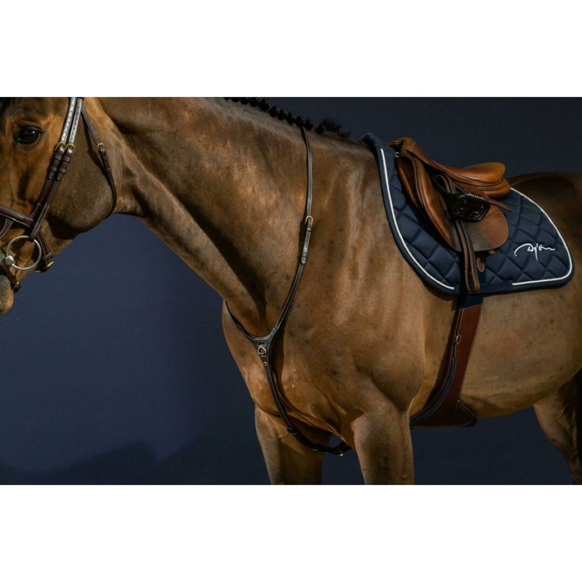 Dyon Martingale Yoke Brown