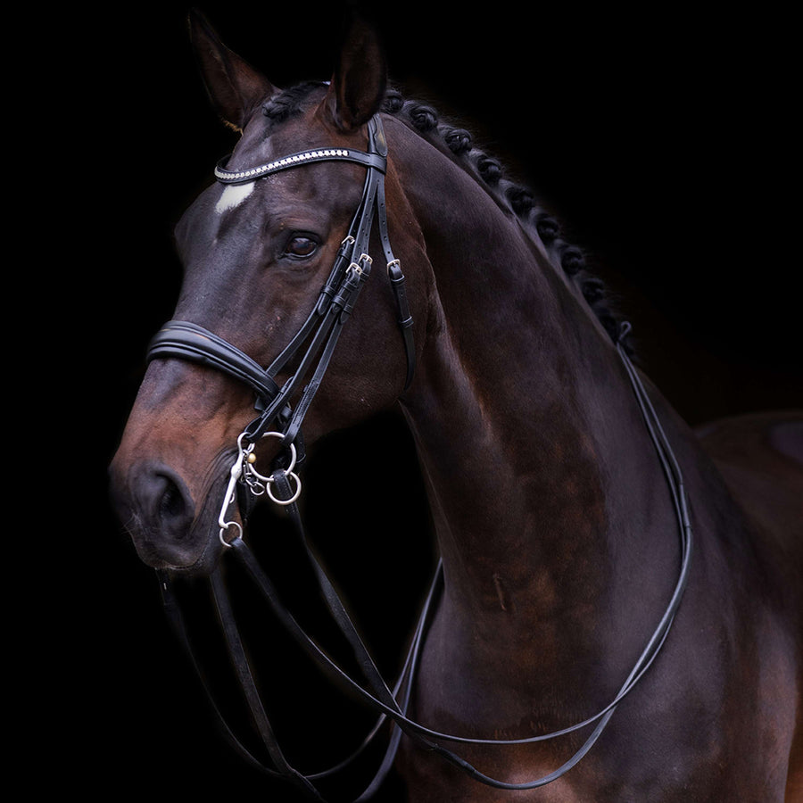 Imperial Riding Double Bridle IRHFria Black