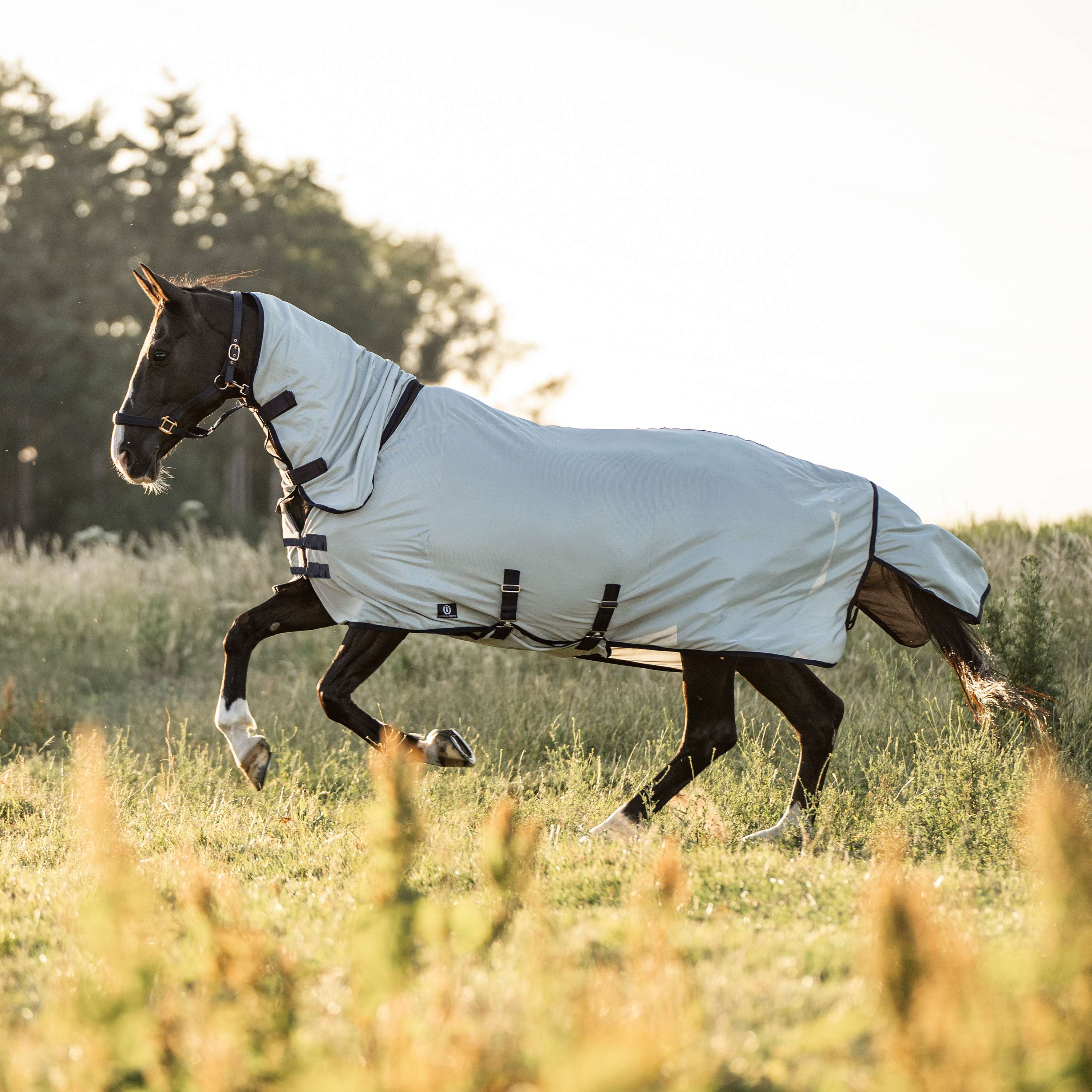 Imperial Riding Fly Rug IRHReese Silver Grey