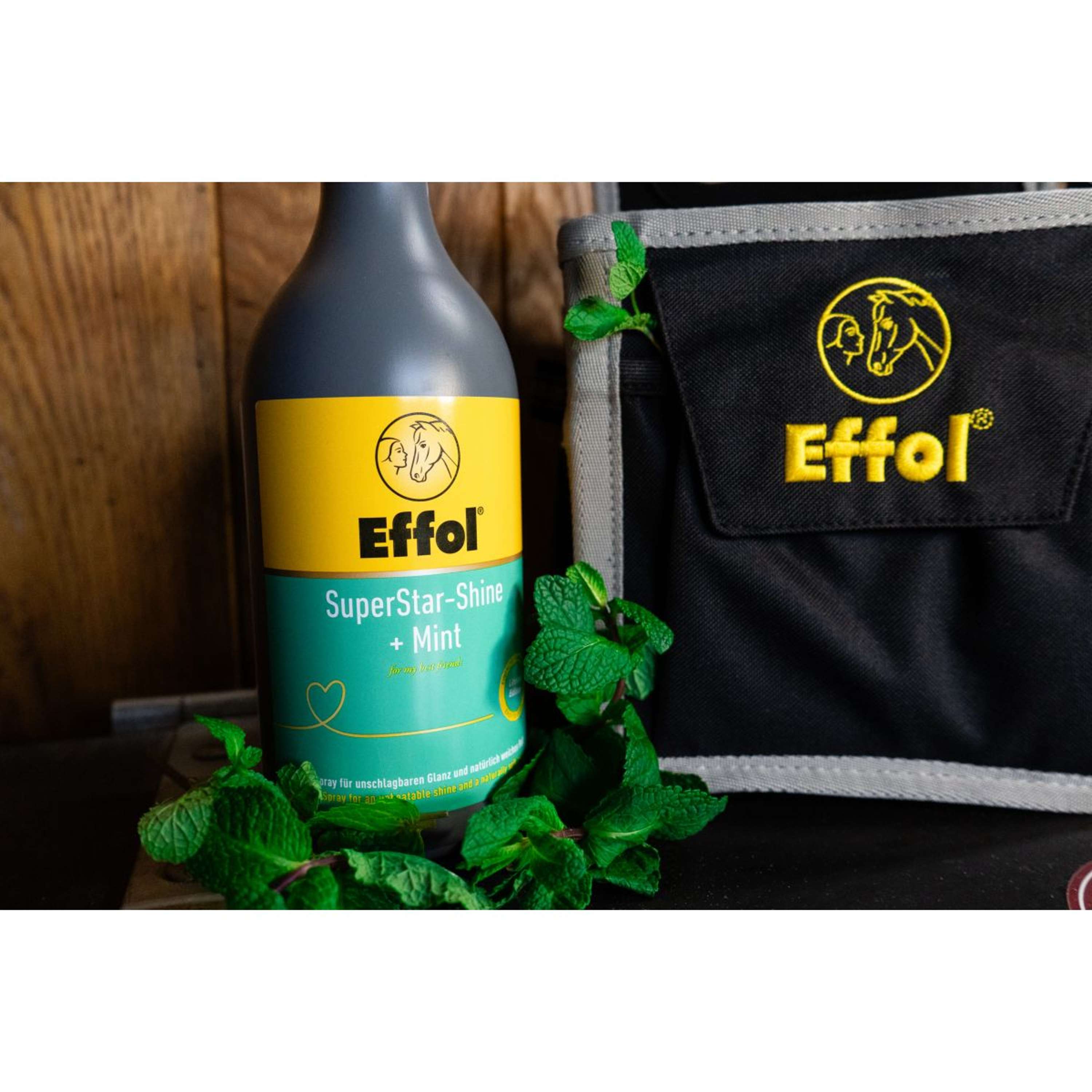 Effol Gloss Spray SuperStar Mint