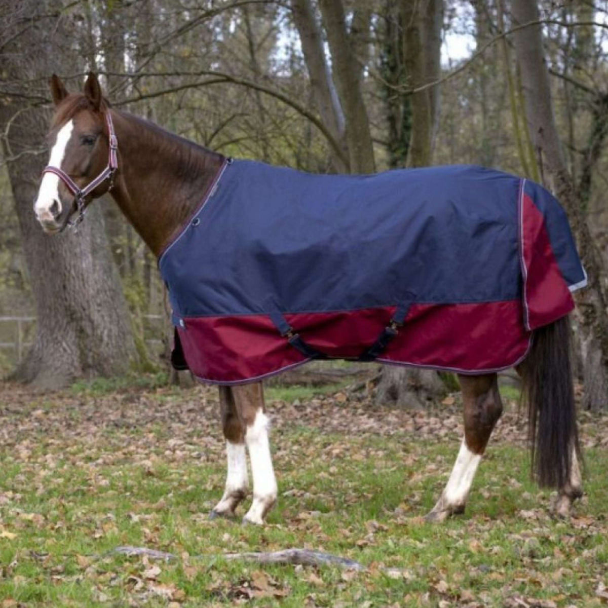 EQUITHÈME Outdoor Rug Tyrex 1200D 0g Navy/Bordeaux