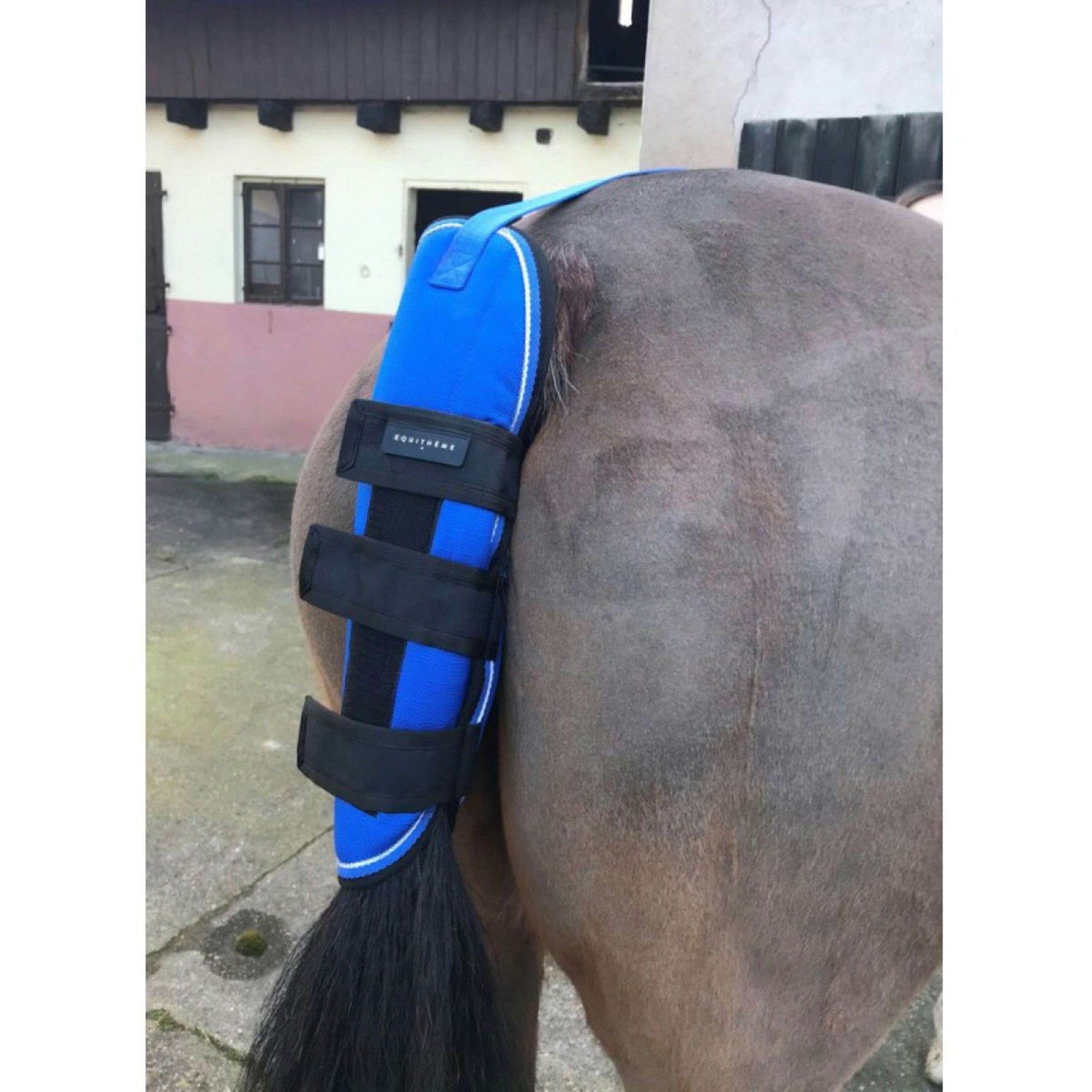 EQUITHÈME Tail Protector Tyrex 1200D Blue/Black