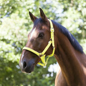 Norton Halter Fluo Raised Yellow