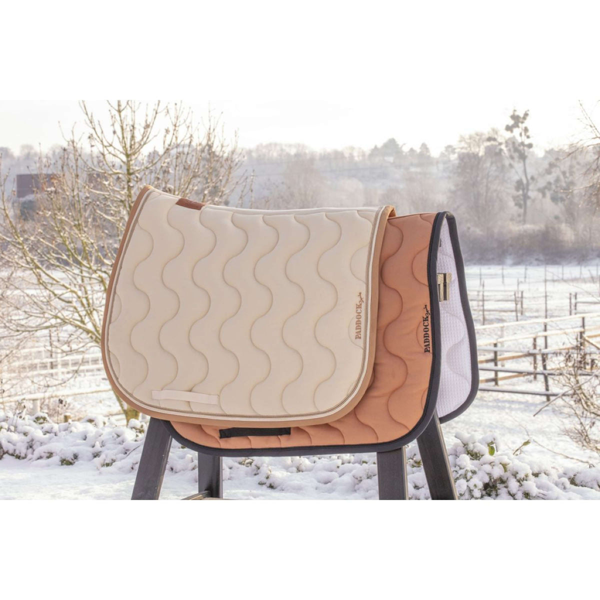 Paddock Saddlepad Origine Signature Dressage Vanilla