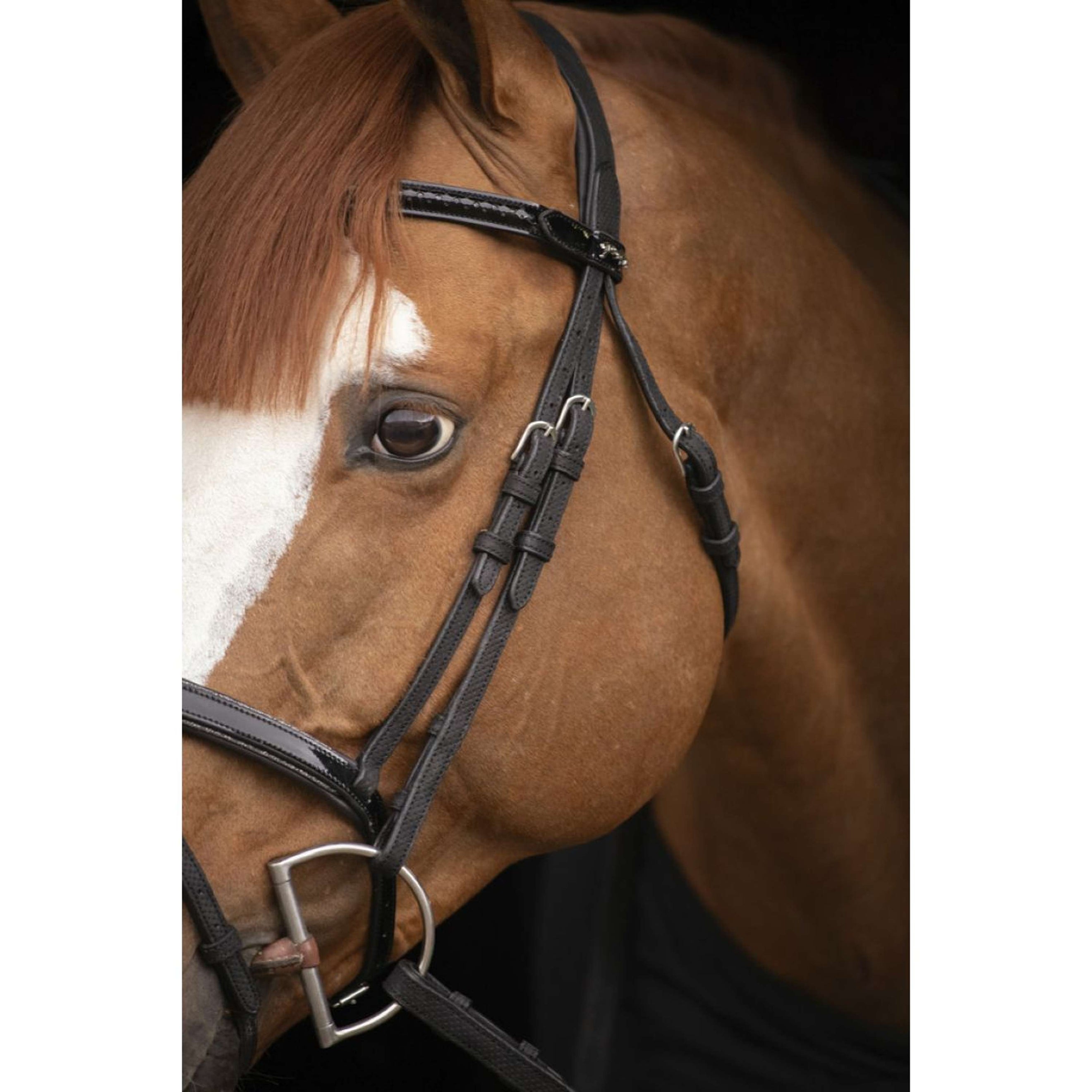 Pénélope Bridle Oxford Performance Black