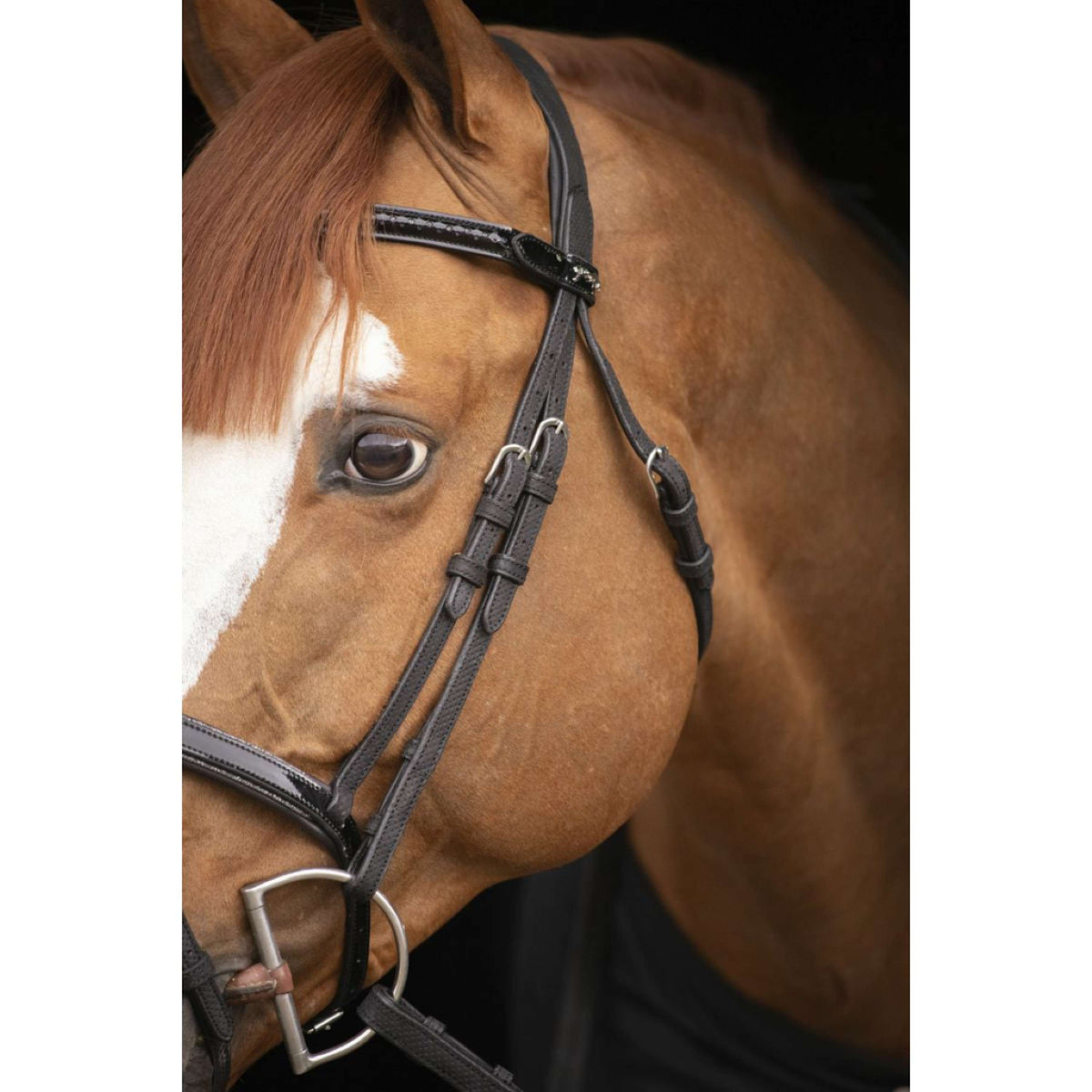 Pénélope Bridle Oxford Performance Black