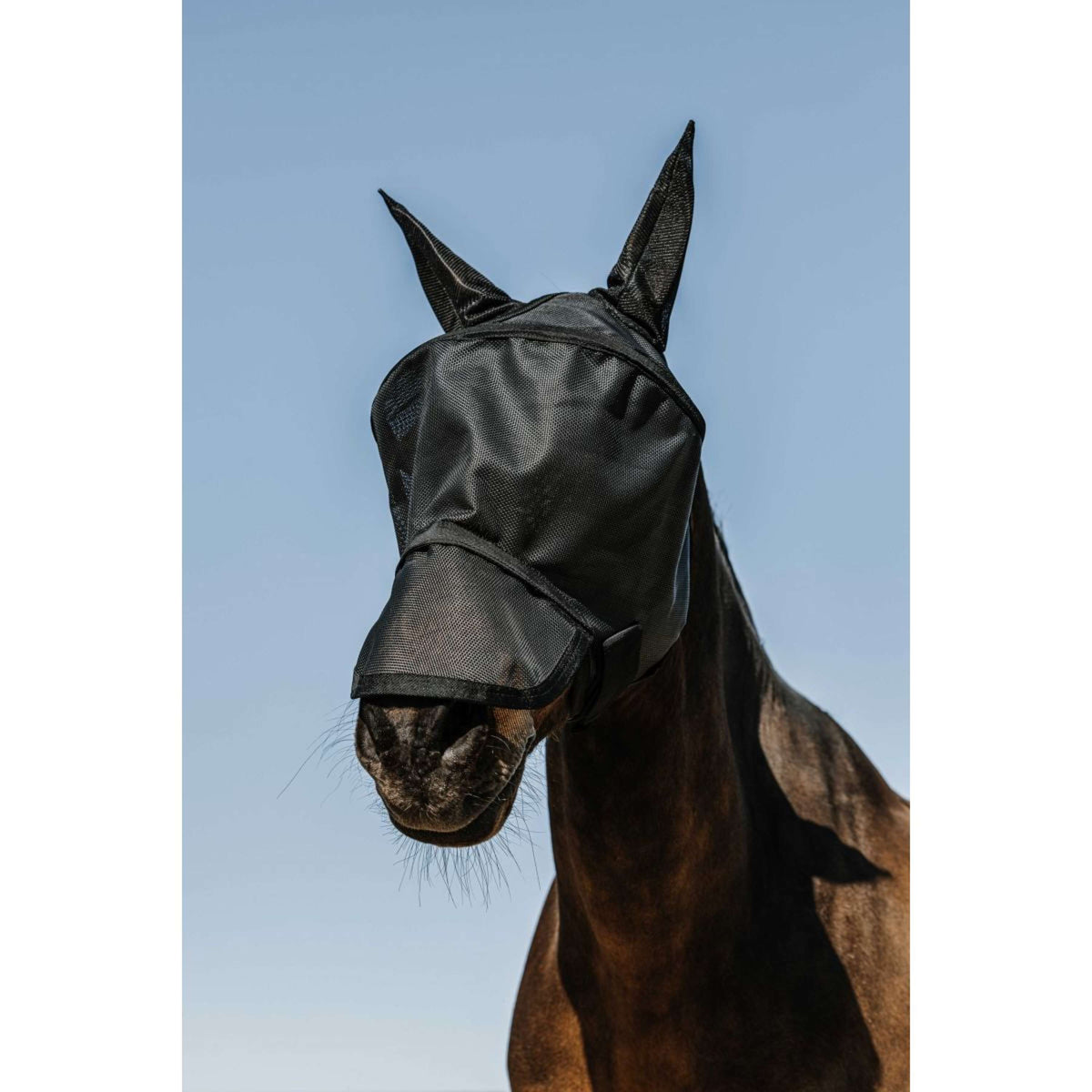 EQUITHÈME Fly Mask Protec with UV Protection Black
