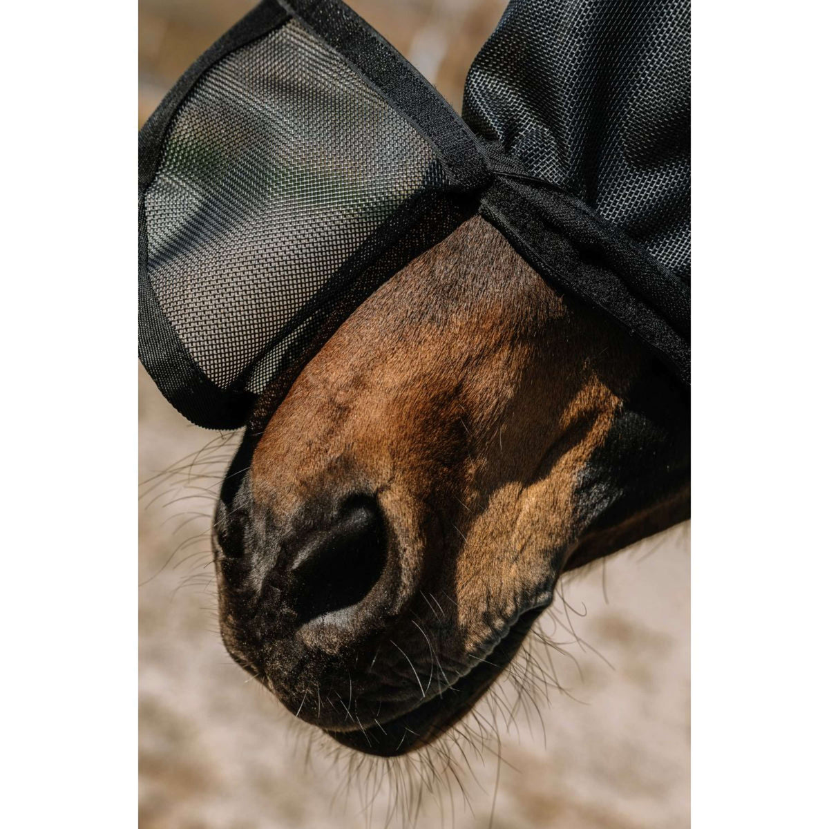 EQUITHÈME Fly Mask Protec with UV Protection Black