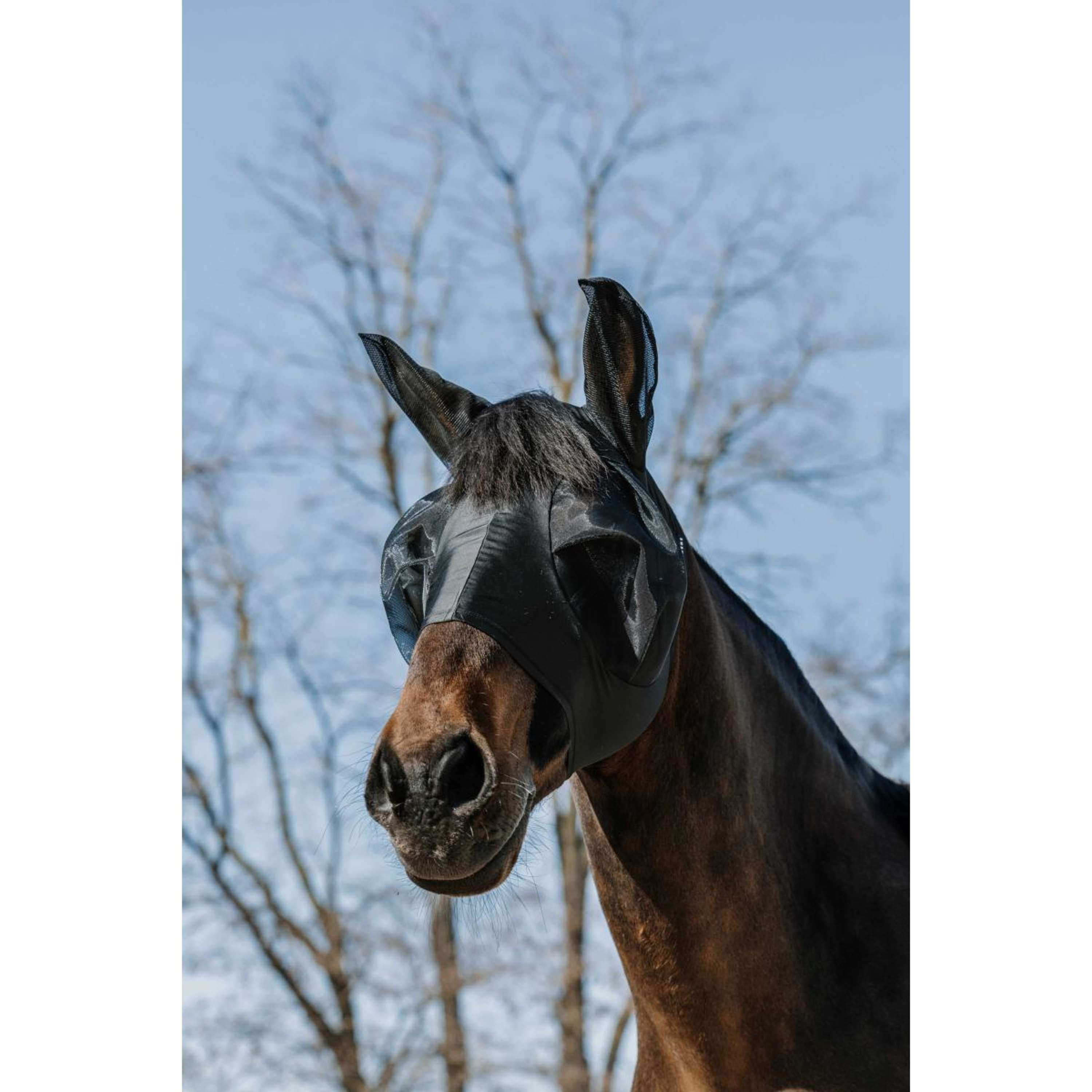 EQUITHÈME Fly Mask Lycra with UV Protection Black