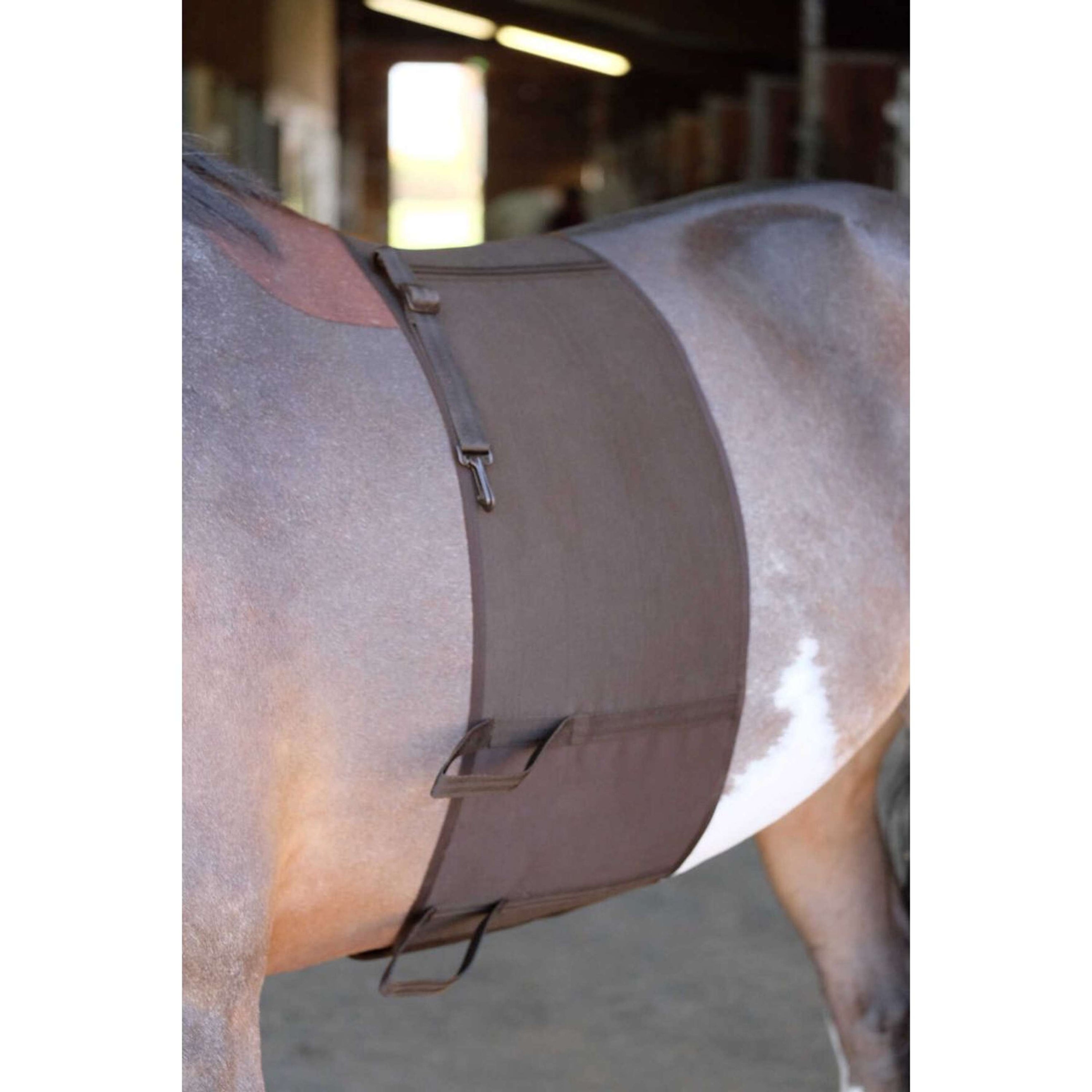 Norton Belly Band Brown