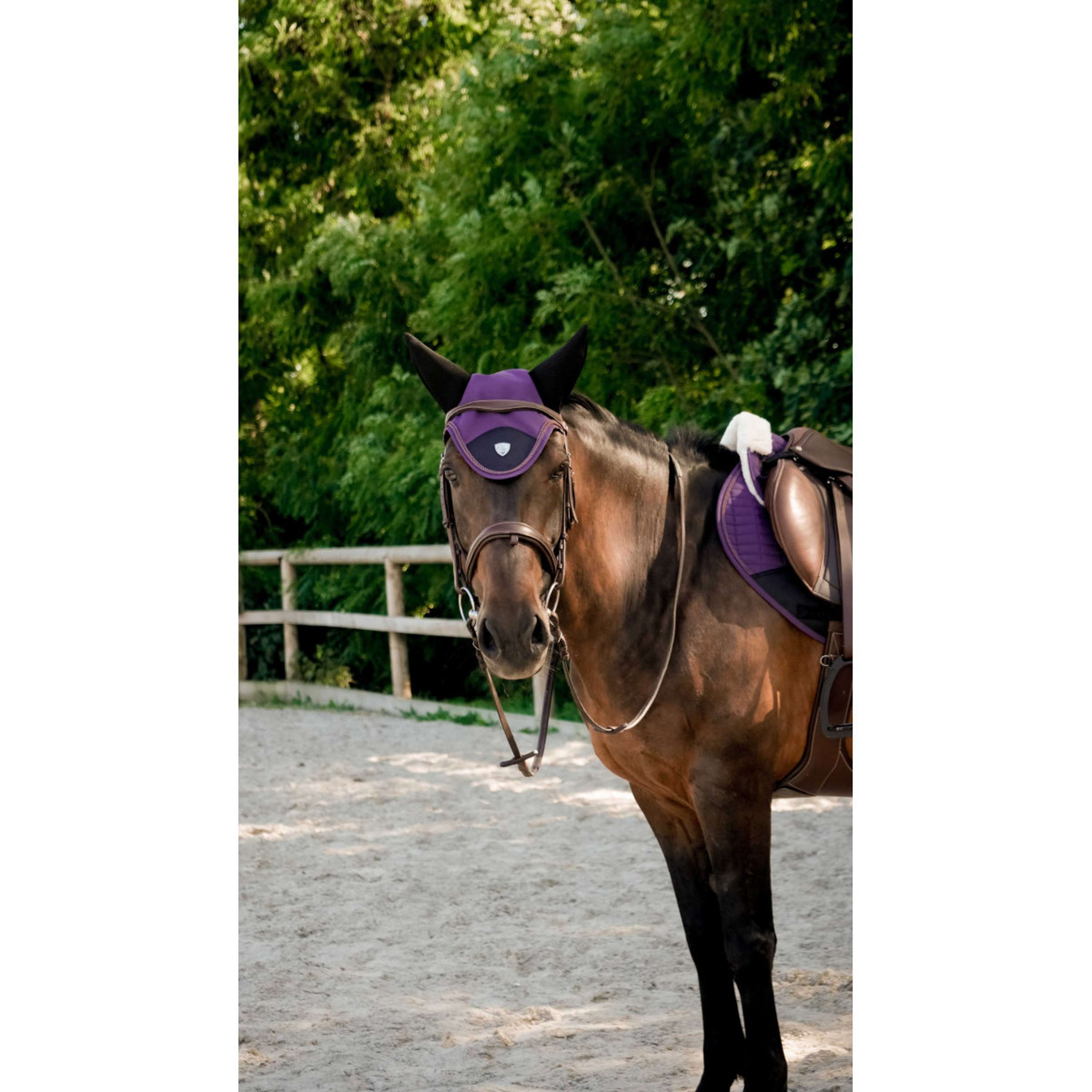 Ekkia Ear Bonnet PRO Combo Master Plum
