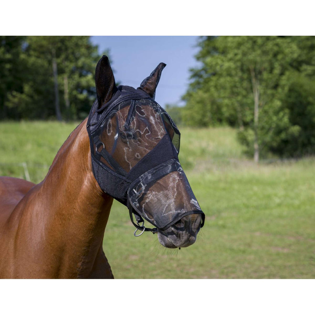 EQUITHÈME Fly Mask Anti-UV 2IN1 Black