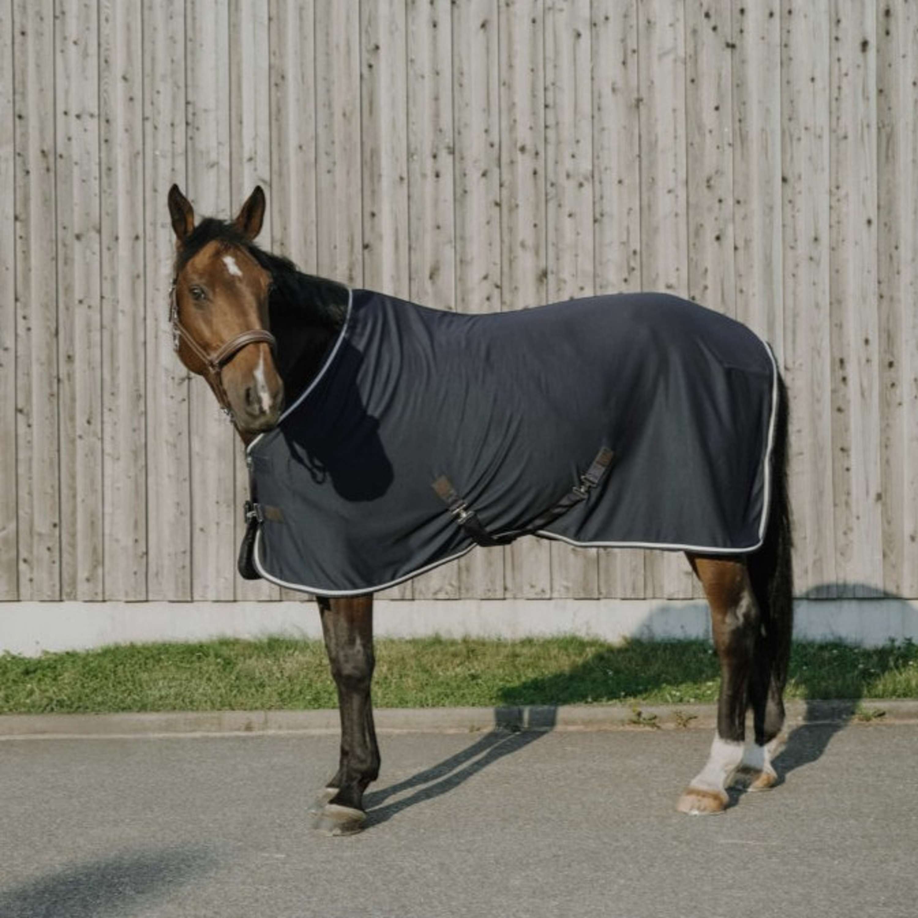 EQUITHÈME Cooler Blanket Drycool Standard Navy blue
