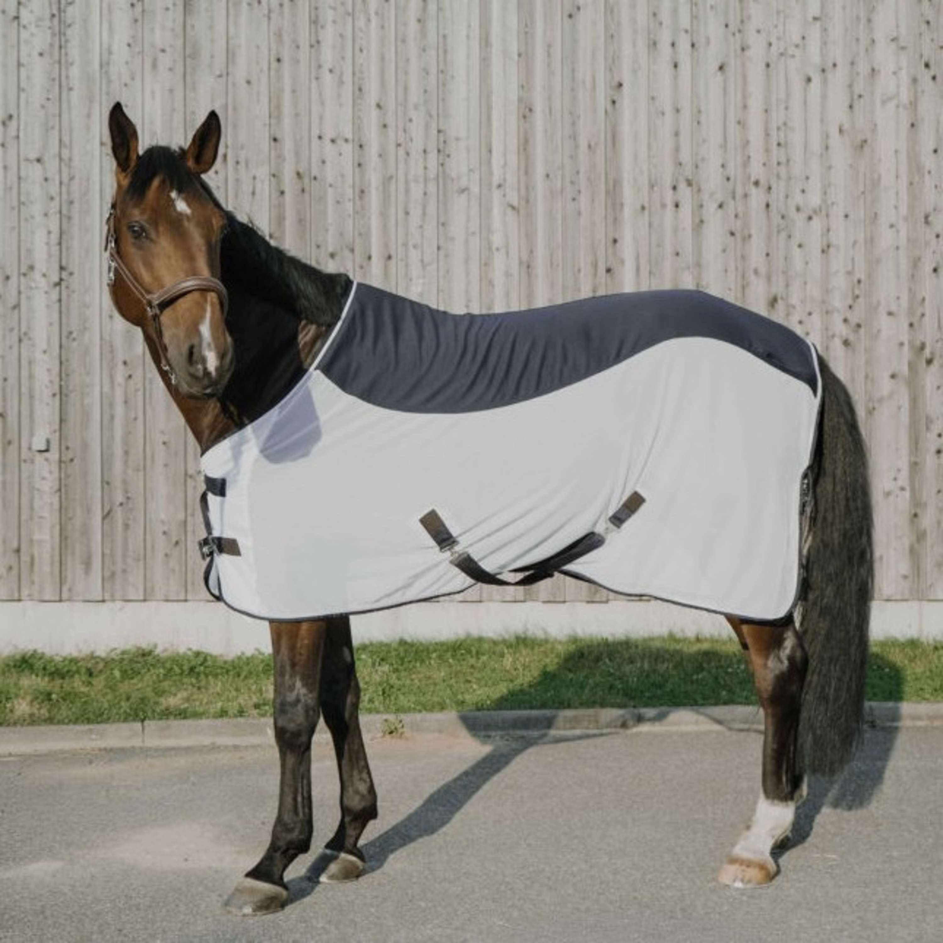 EQUITHÈME Fly Rug Flycool Standard Navy/White
