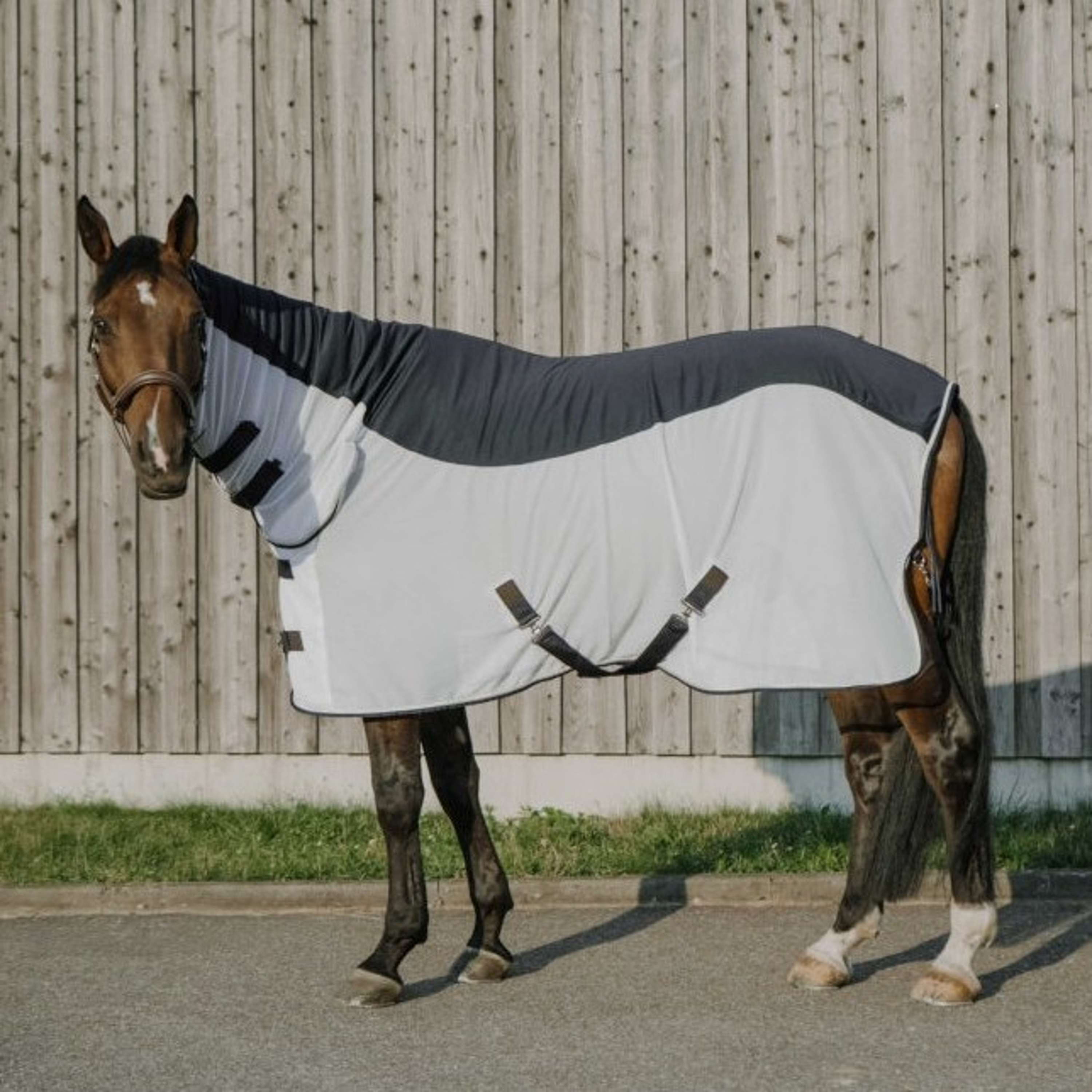 EQUITHÈME Fly Rug Flycool Combo with a Hood Navy/White