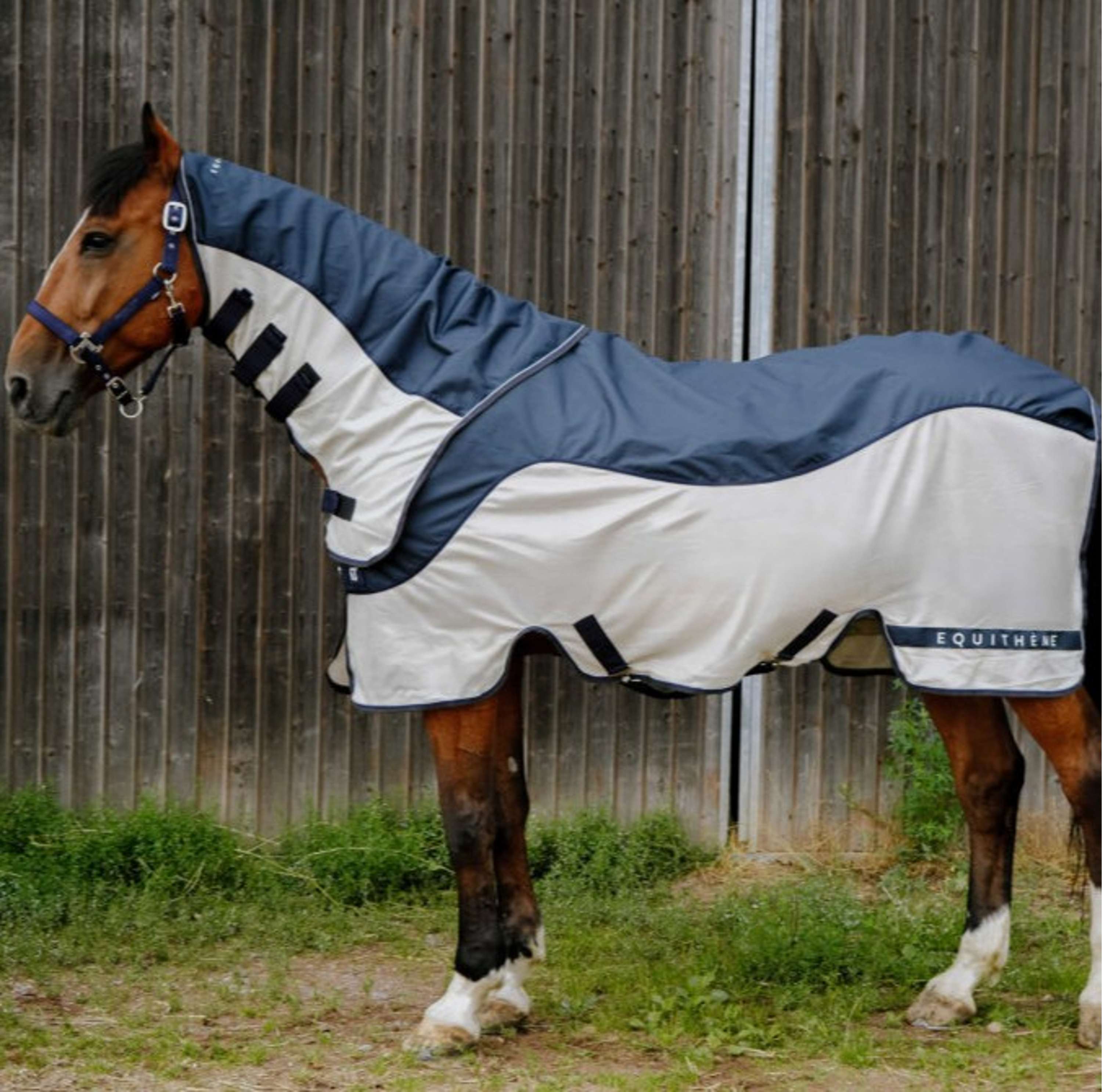 EQUITHÈME Fly Rug TYREX Combofly 600D with a Hood Navy Blue/Grey
