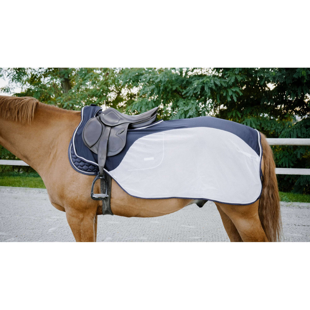 EQUITHÈME Exercise Rug Flycool Navy/White