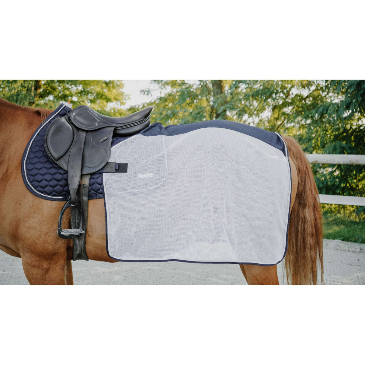 EQUITHÈME Exercise Rug Flycool square Navy/White
