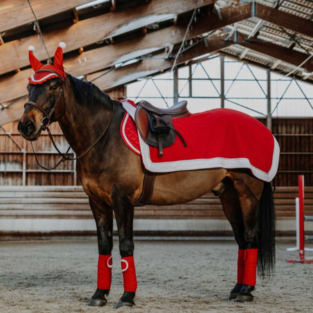 EQUITHÈME Exercise Rug Christmas Red