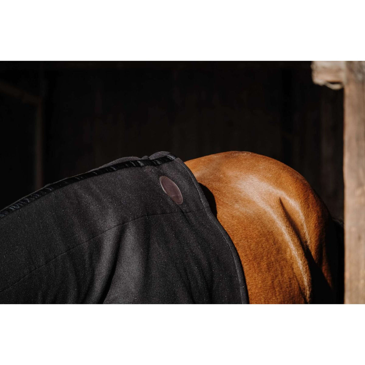 EQUITHÈME Neck Protector Fleece Black