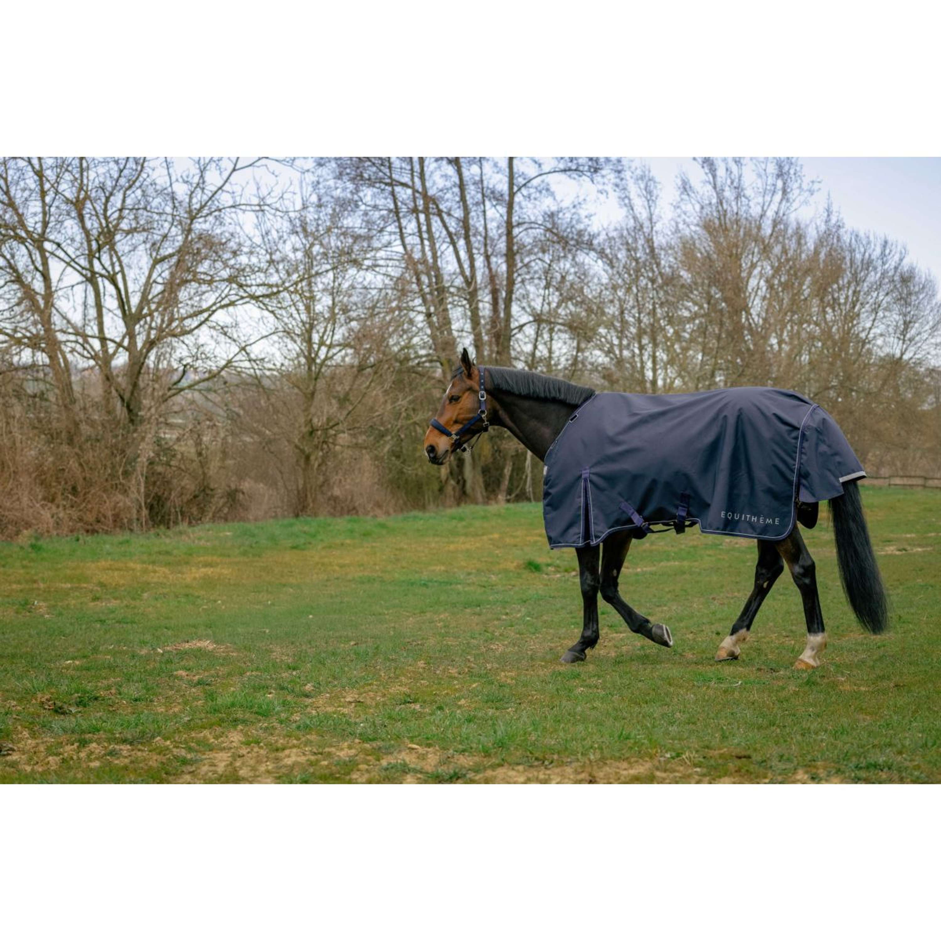 EQUITHÈME Outdoor Rug Anatomic 1200D 50g Navy