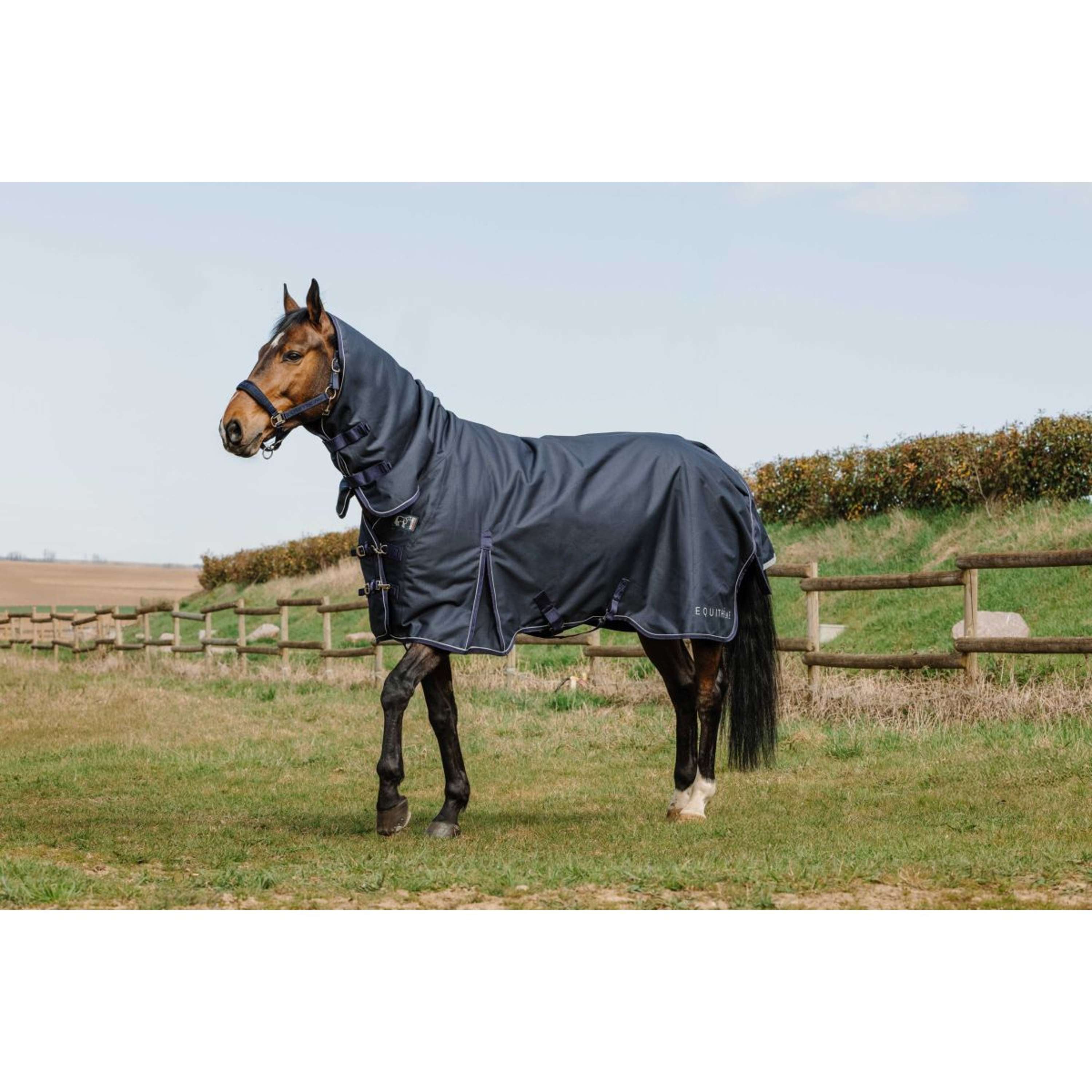 EQUITHÈME Outdoor Rug Anatomic Combi 1200D 200g Navy
