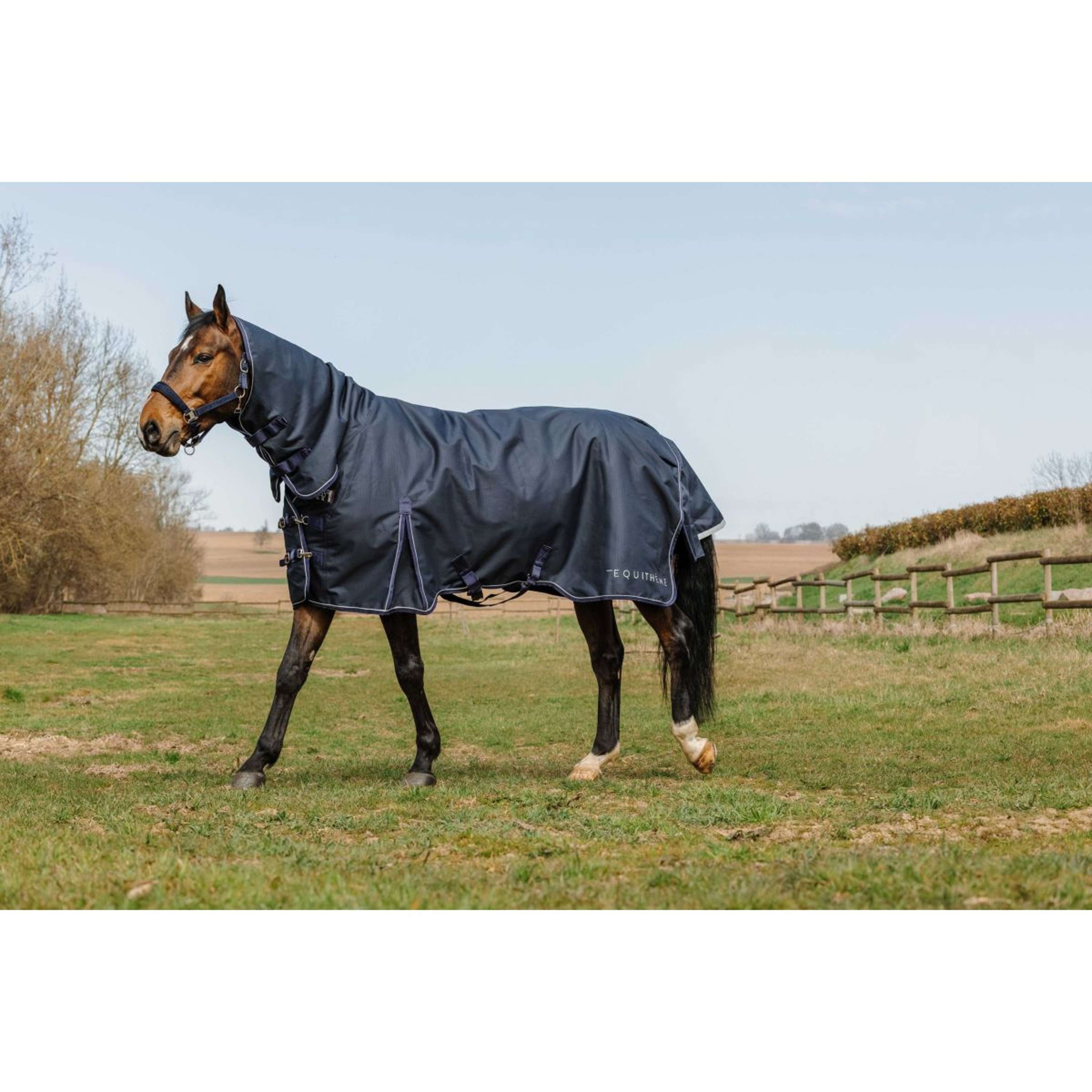 EQUITHÈME Outdoor Rug Anatomic Combi 1200D 200g Navy