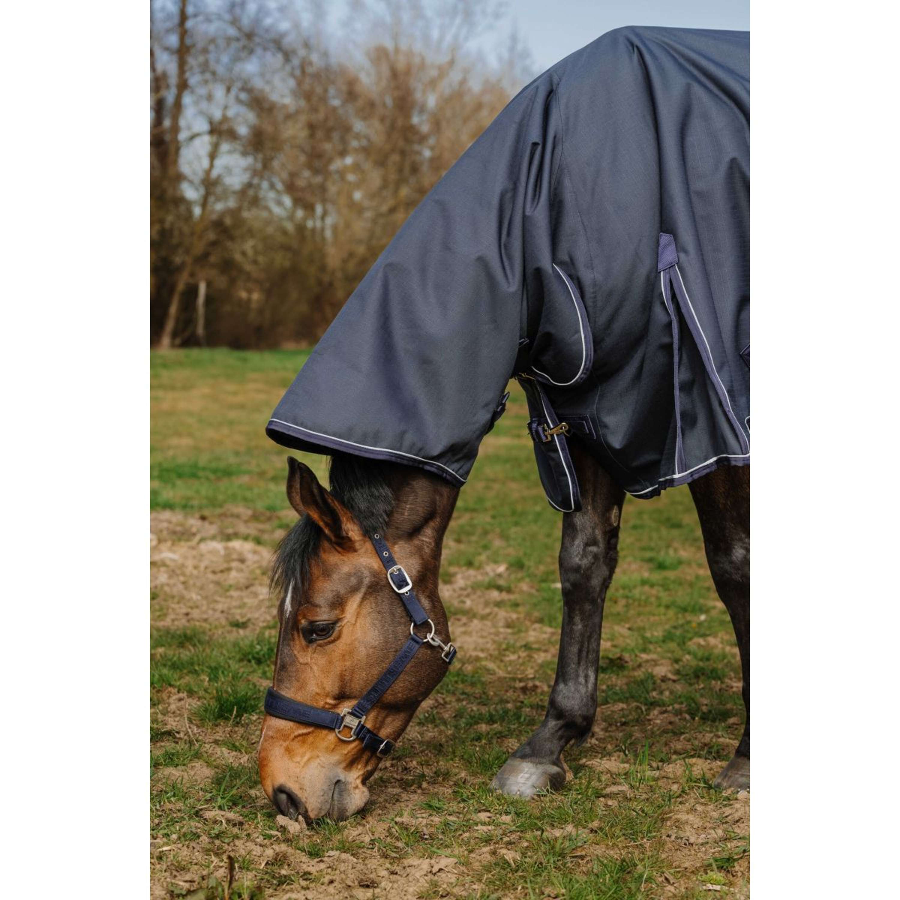 EQUITHÈME Outdoor Rug Anatomic Combi 1200D 200g Navy